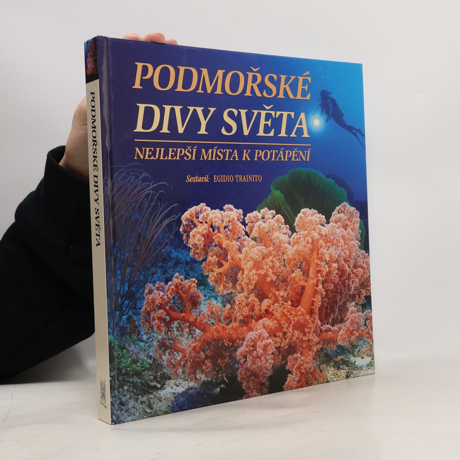 Kurt Amsler Podmořské divy světa. Nejlepší místa k potápění