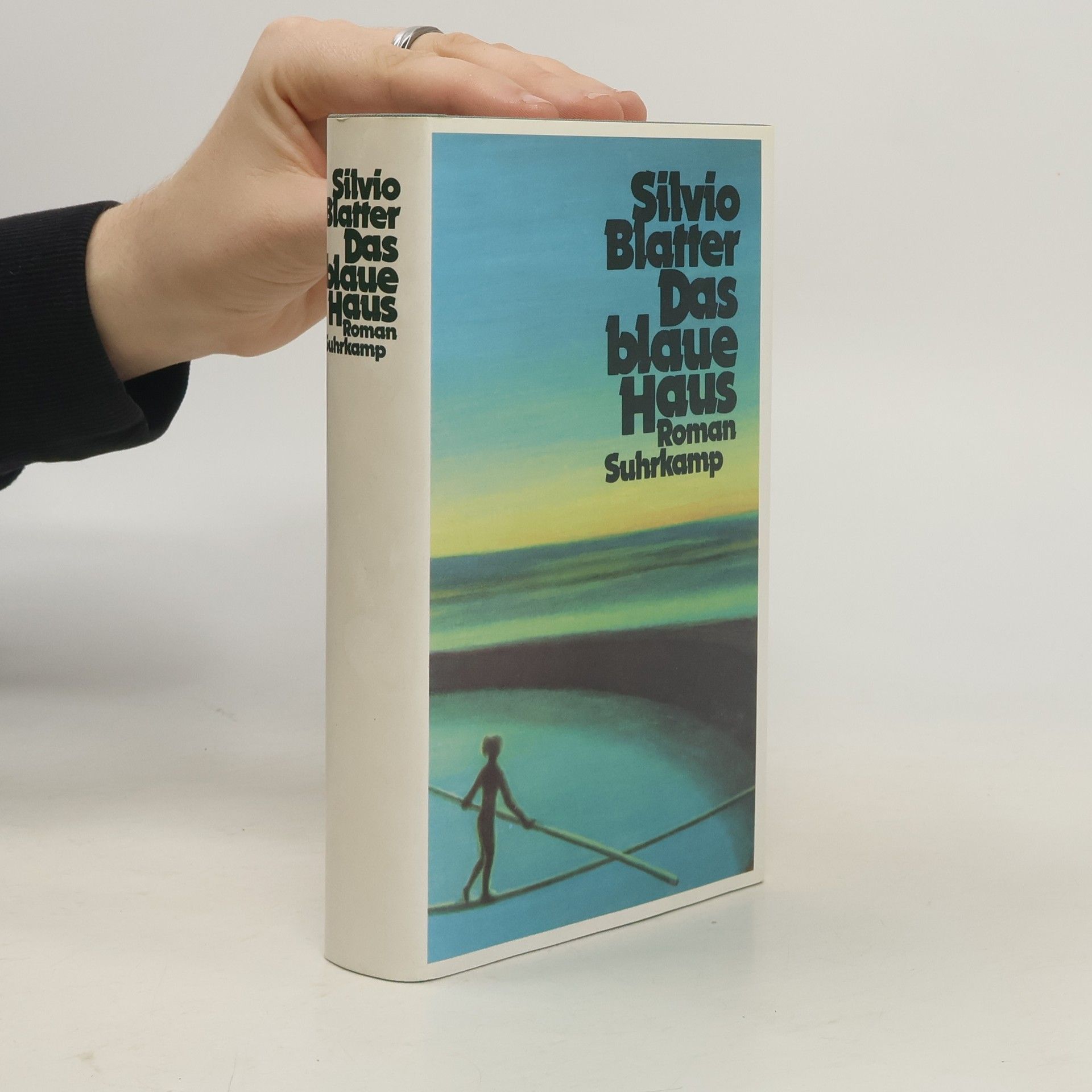 Silvio Blatter Das blaue Haus