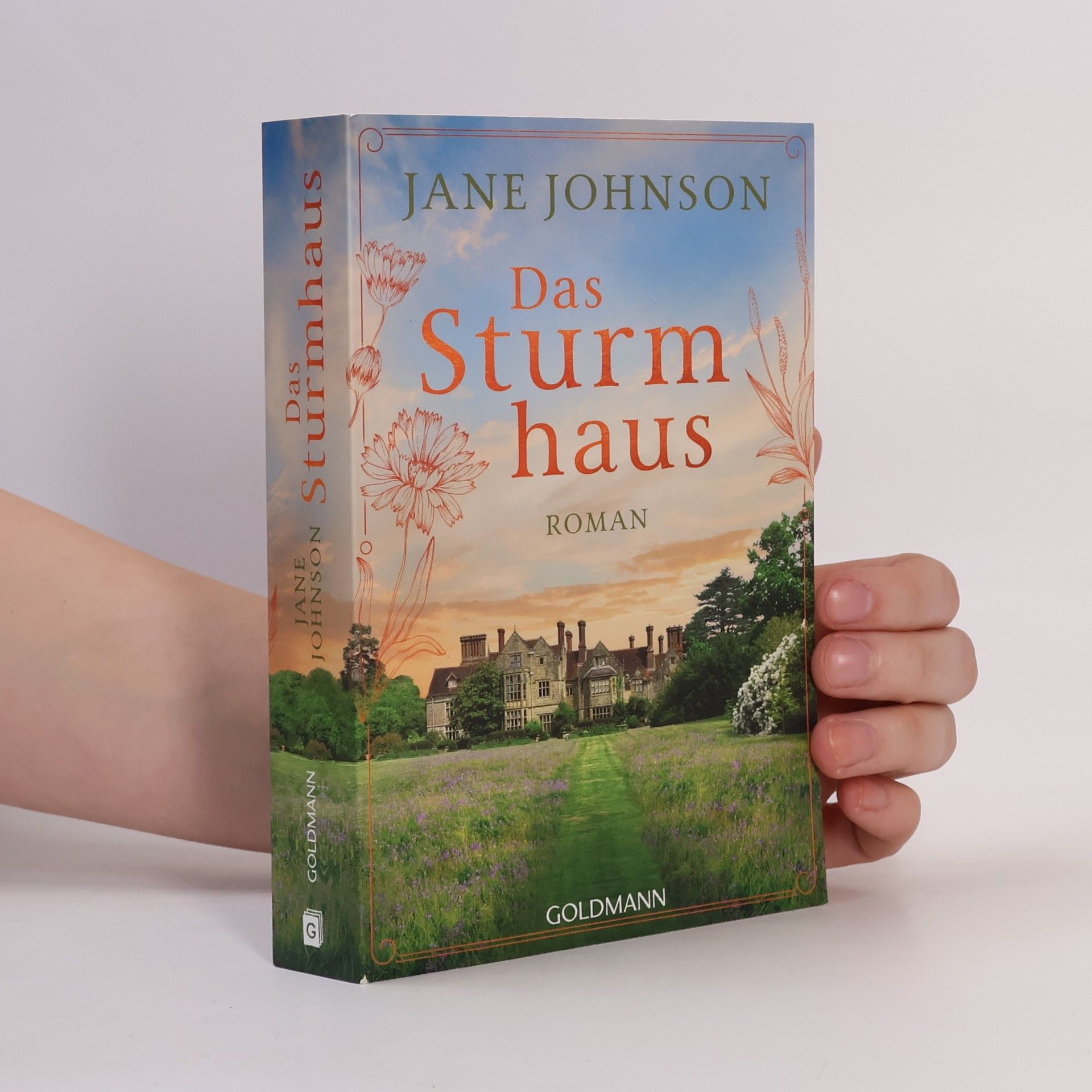 Jude Fisher Das Sturmhaus: Roman