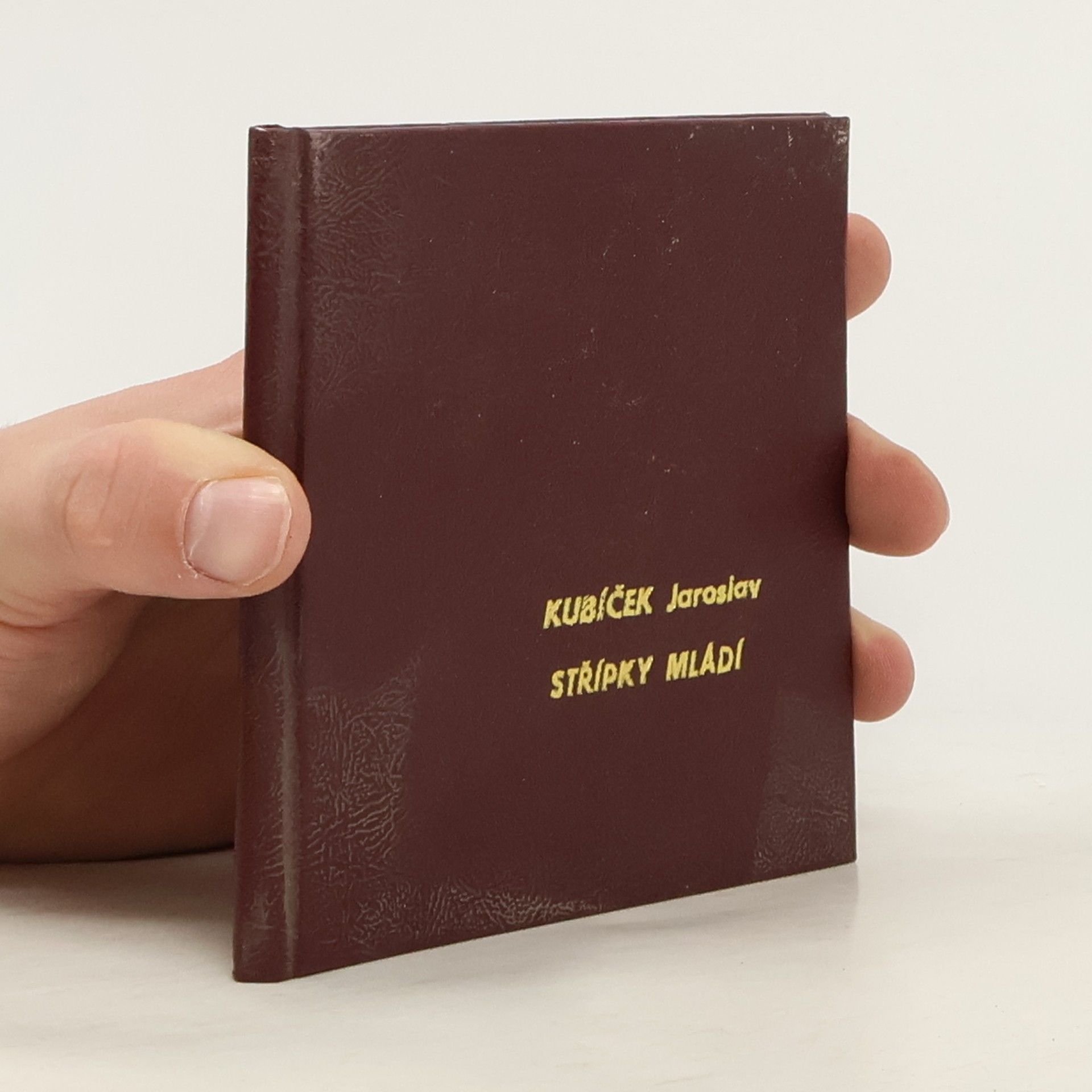 Jaroslav Kubíček Střípky mládí