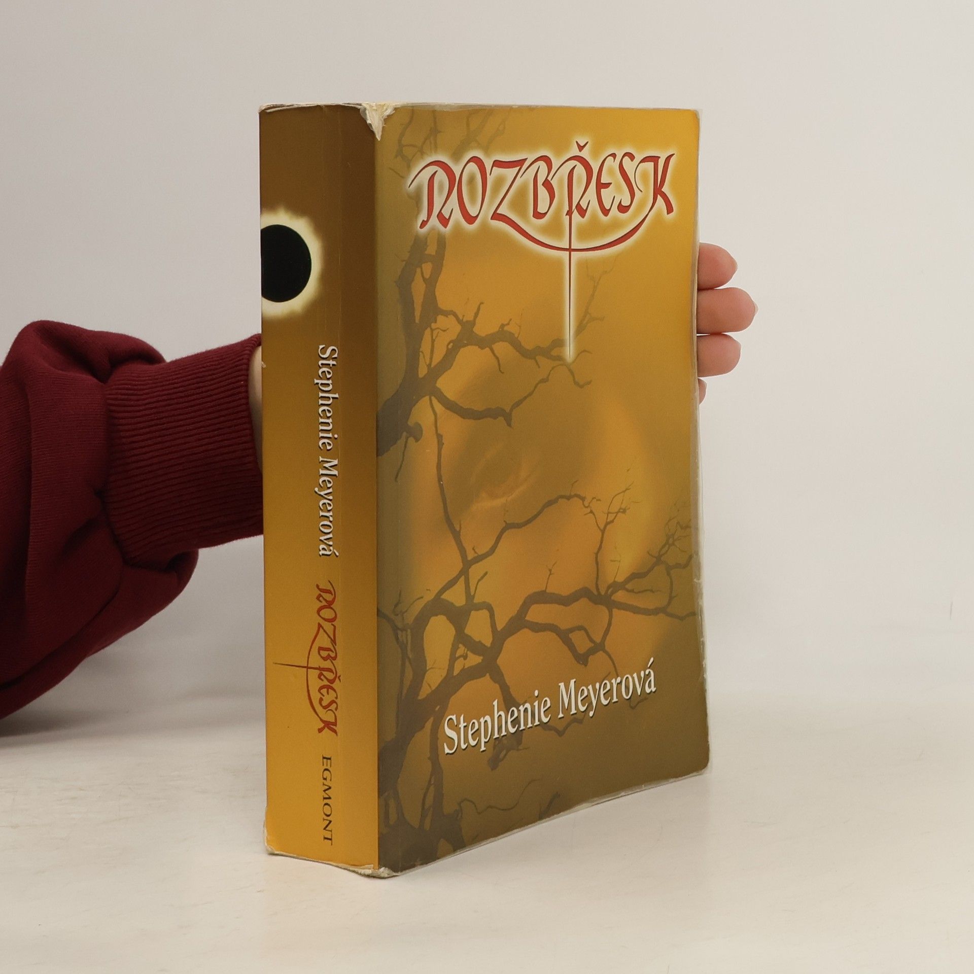 Stephenie Meyer Rozbřesk