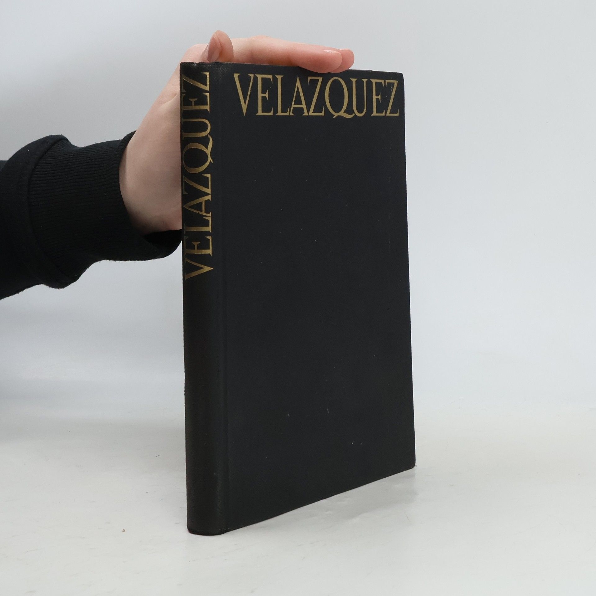 Elie Faure Velazquez : Gesamtwiedergabe seiner Gemälde