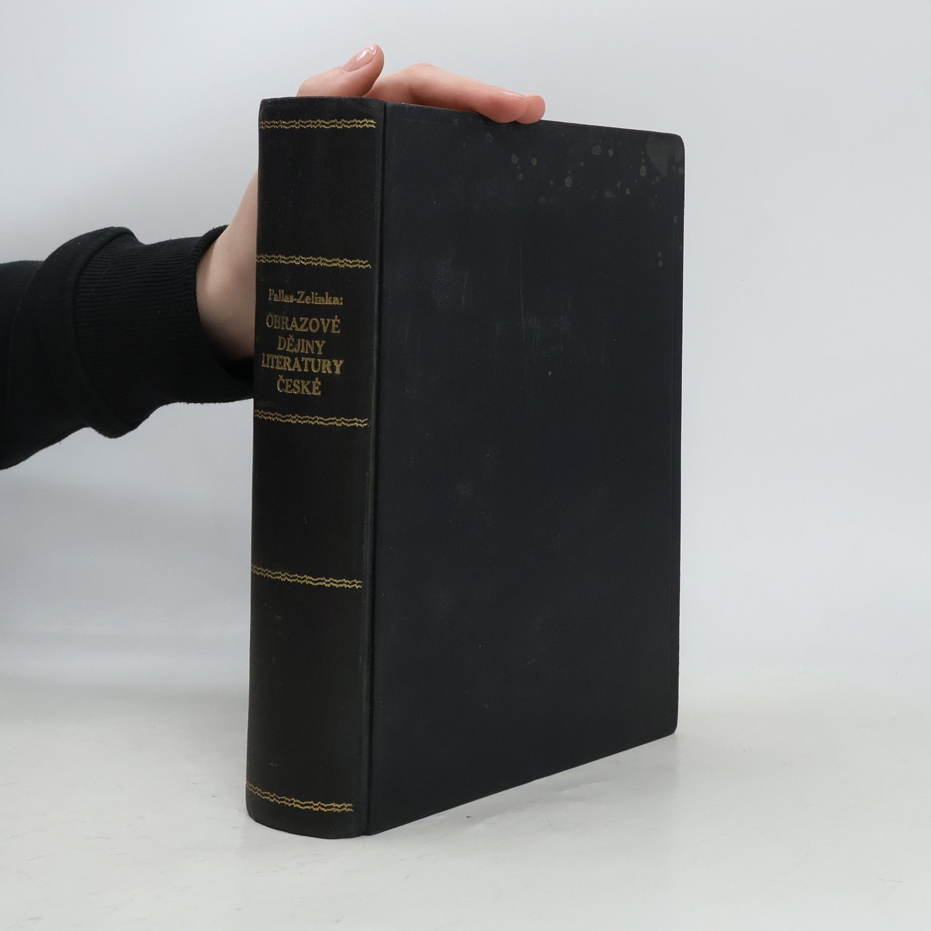 Gustav Pallas Obrazové dějiny literatury české I.