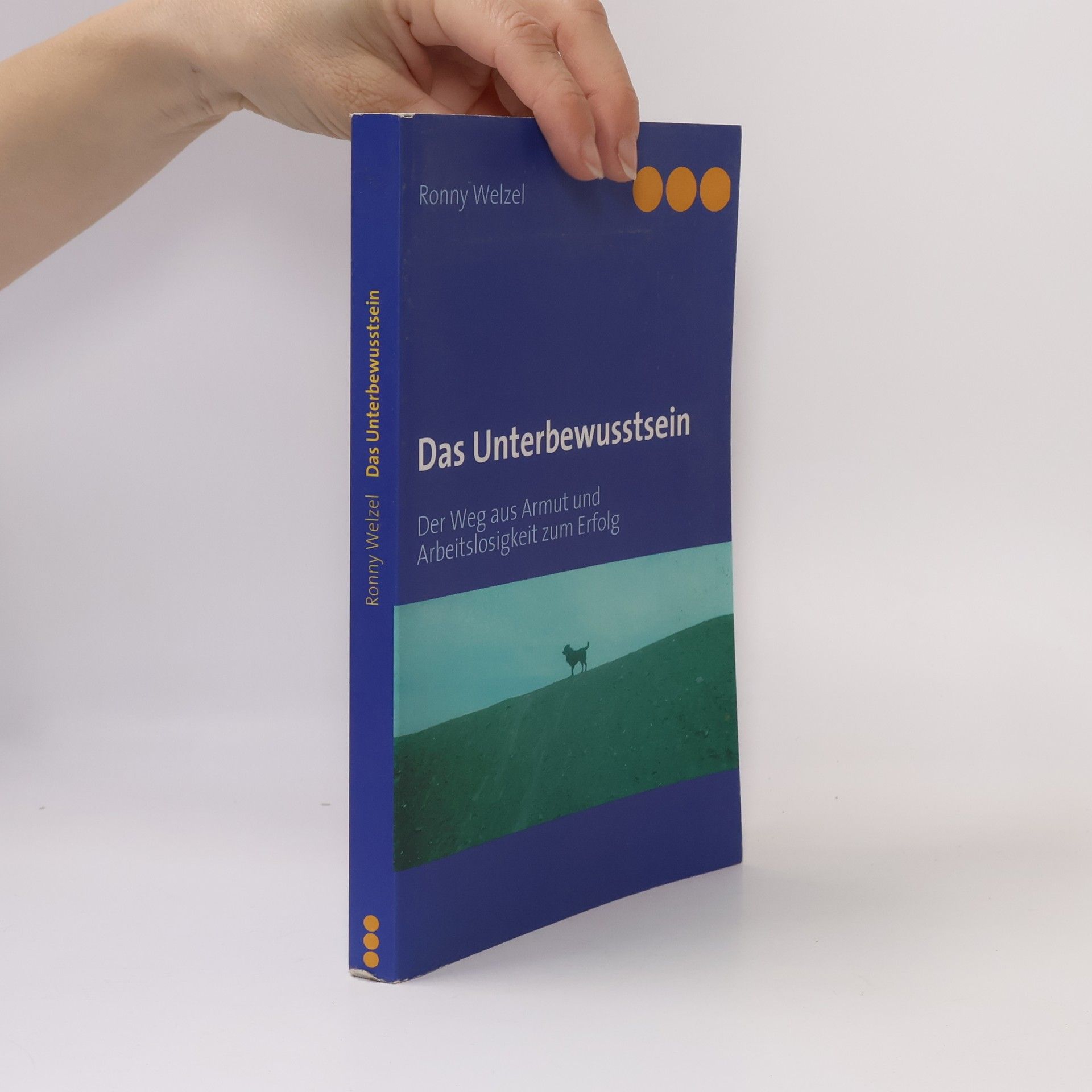 Ronny Welzel Das Unterbewusstsein