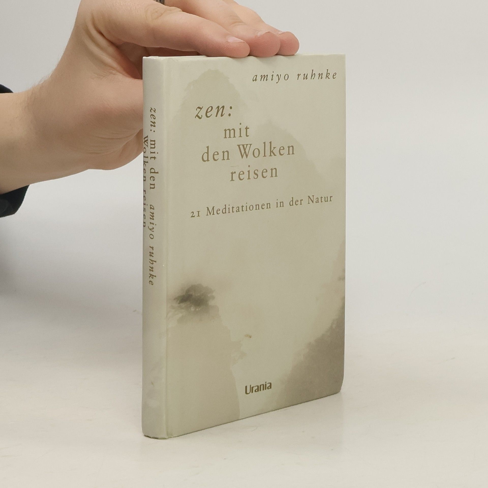 Amiyo Ruhnke Zen. Mit den Wolken reisen.