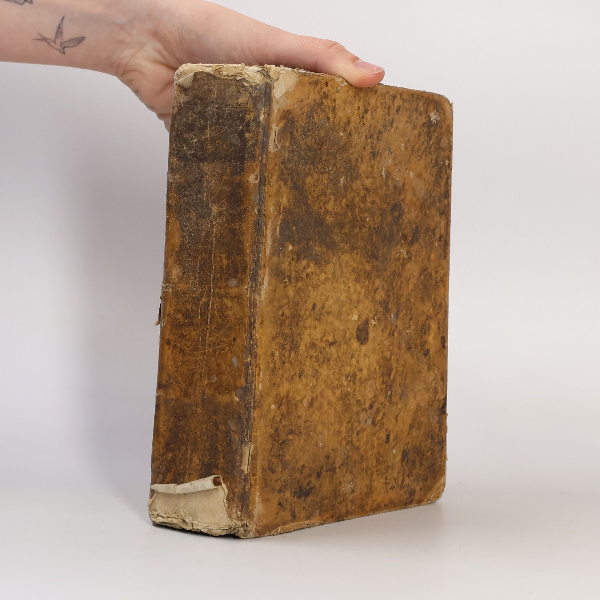 R. P. Joanne Ferler Lob und Ehrn Opffer