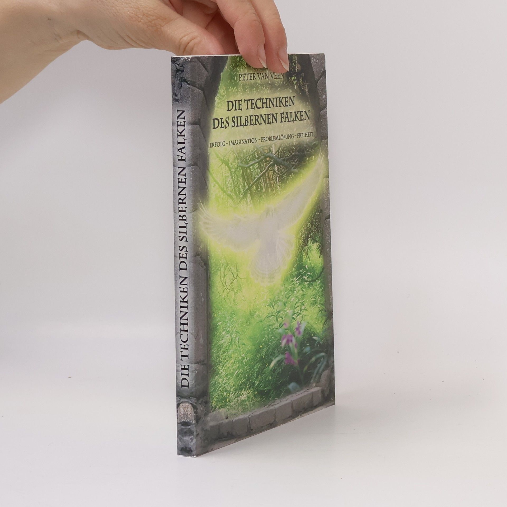 Peter van Veen Die Techniken des silbernen Falken