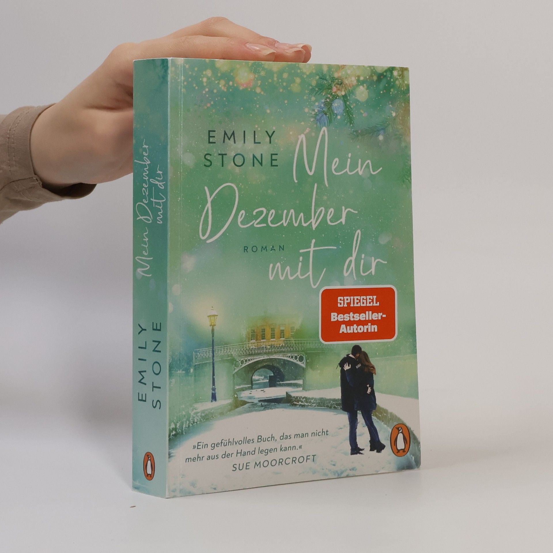 Stone Emily Mein Dezember mit dir