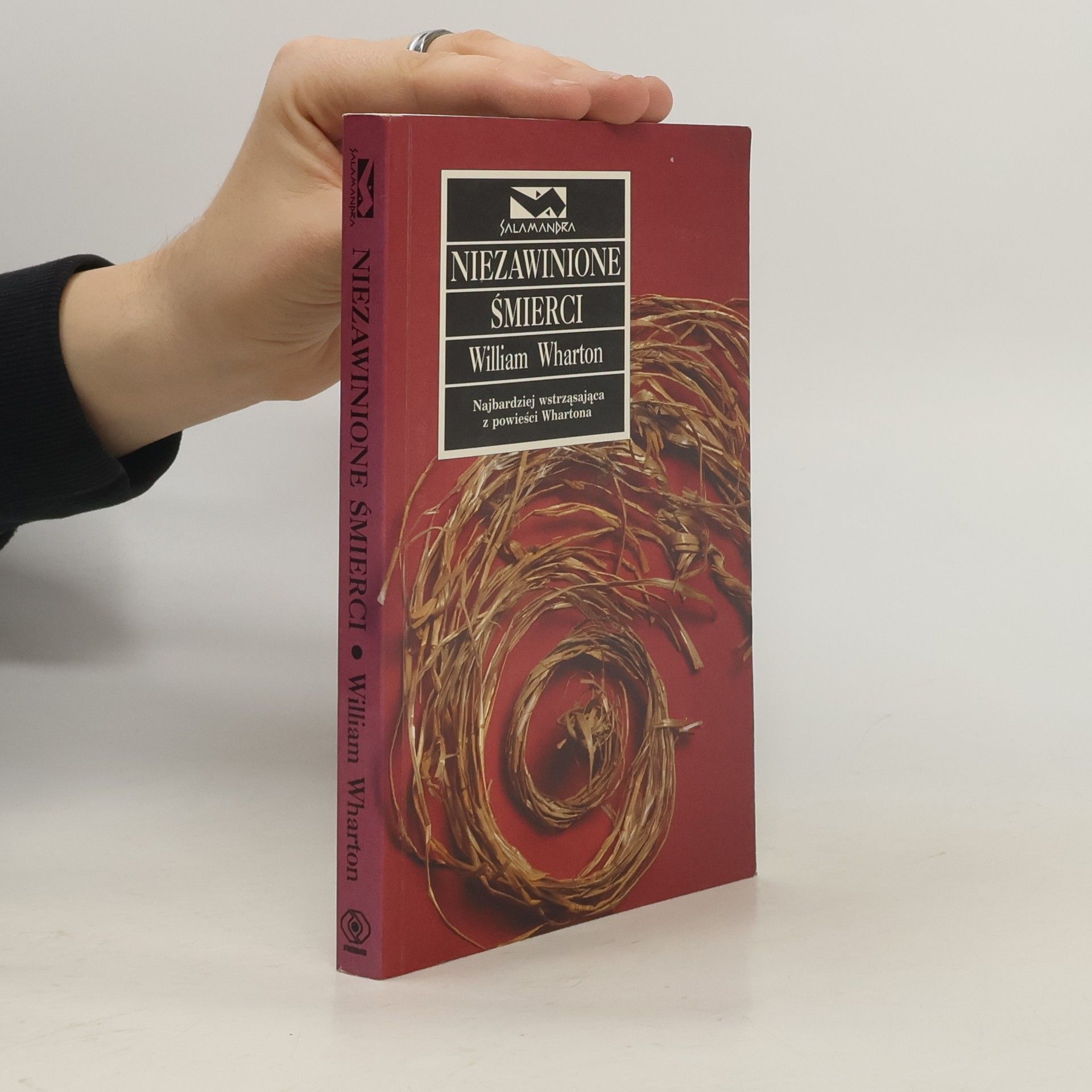 William Wharton Niezawinione śmierci