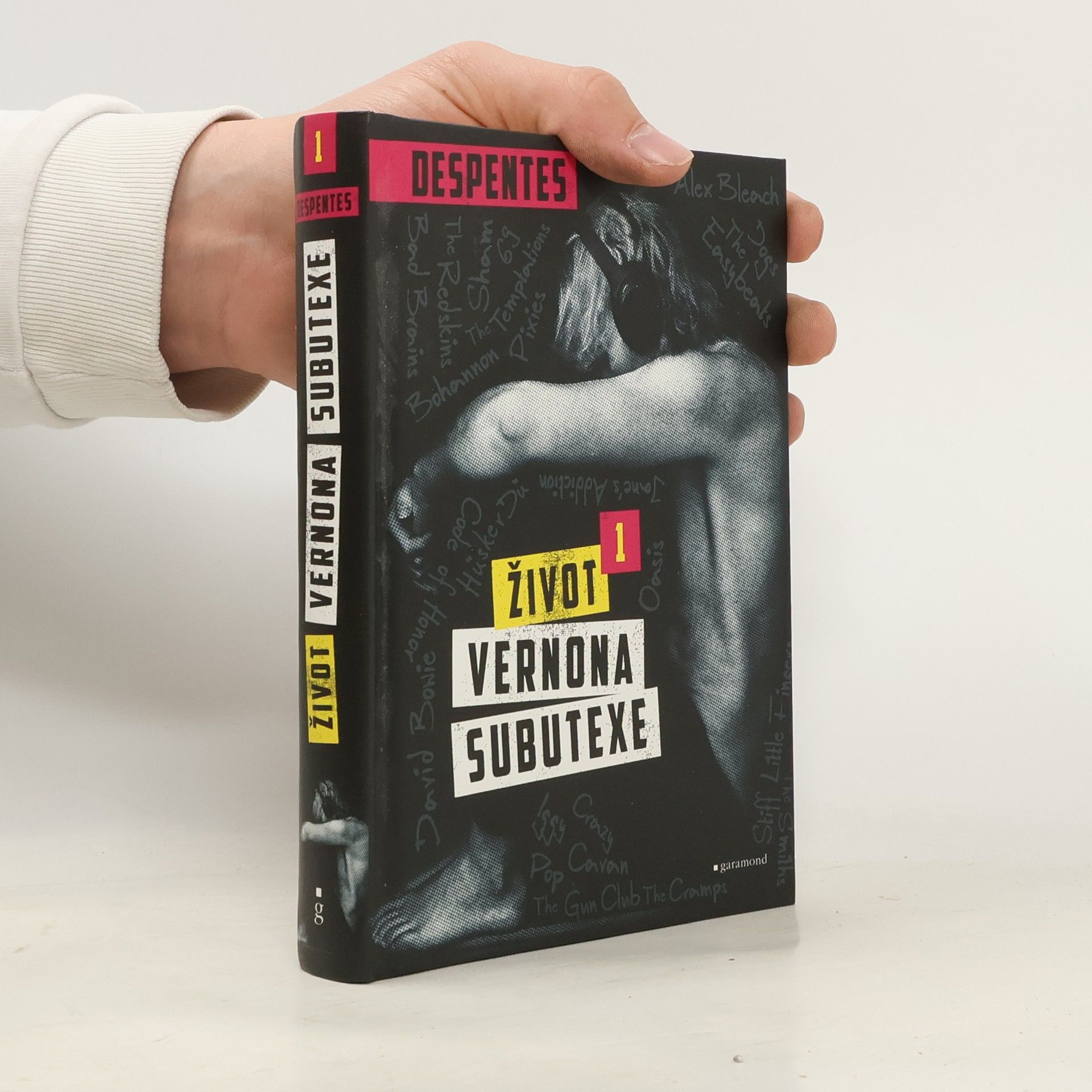 Virginie Despentes Život Vernona Subutexe. Díl 1.