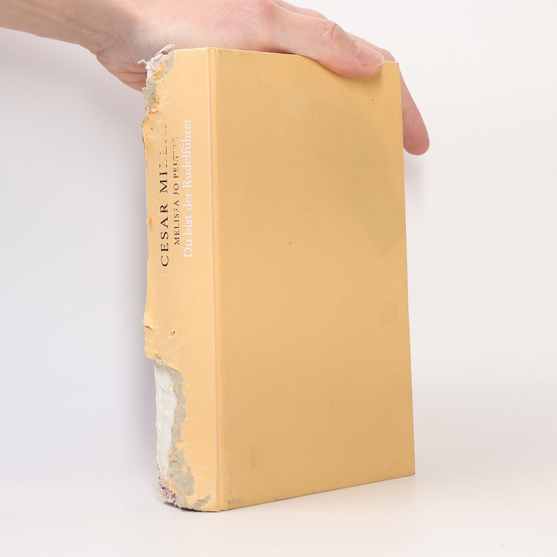 Cesar Millan Du bist der Rudelführer