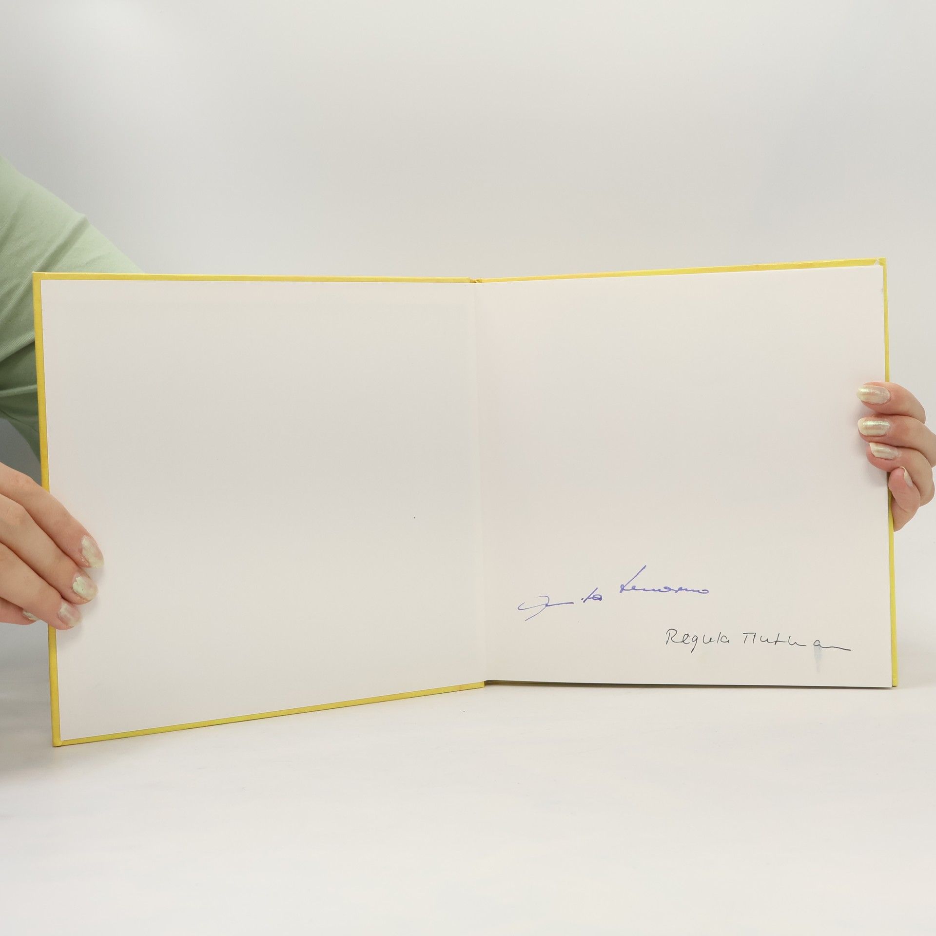 Anita Schorno-Flury Liz und Luz, zwei Kobolde im Verkehrshaus