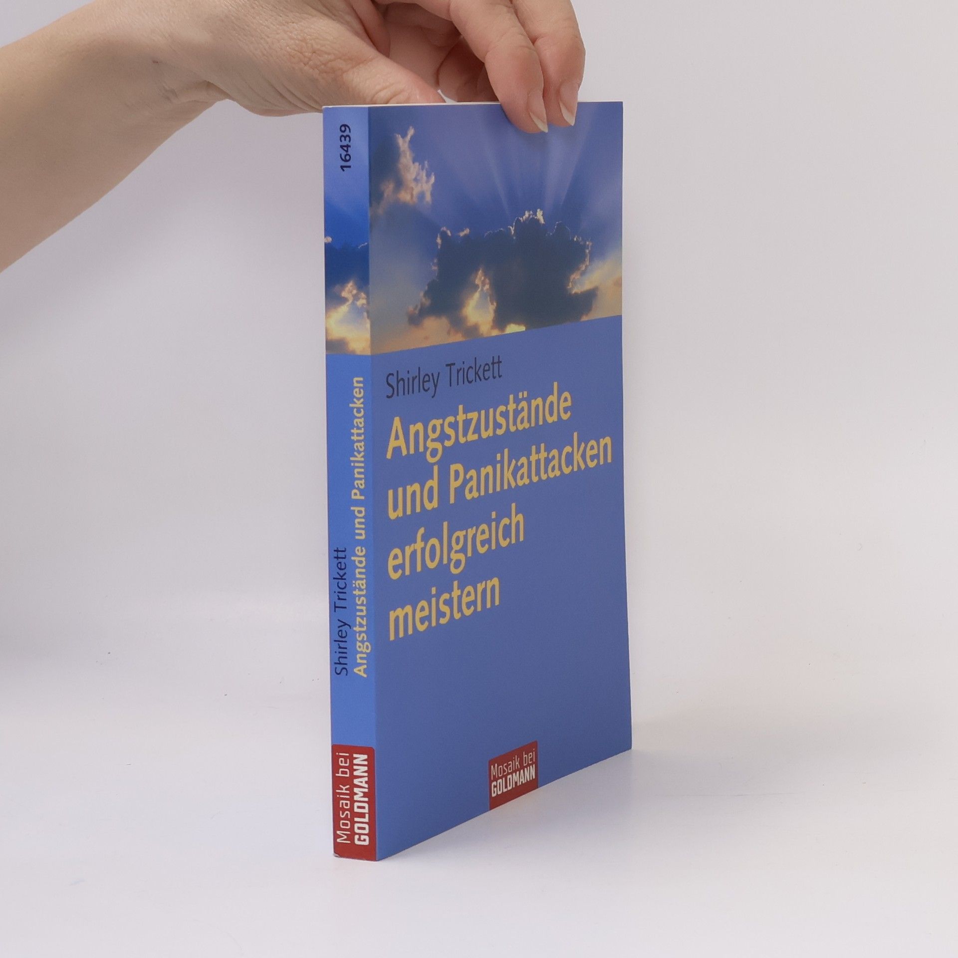 Shirley Trickett Angstzustände und Panikattacken erfolgreich meistern