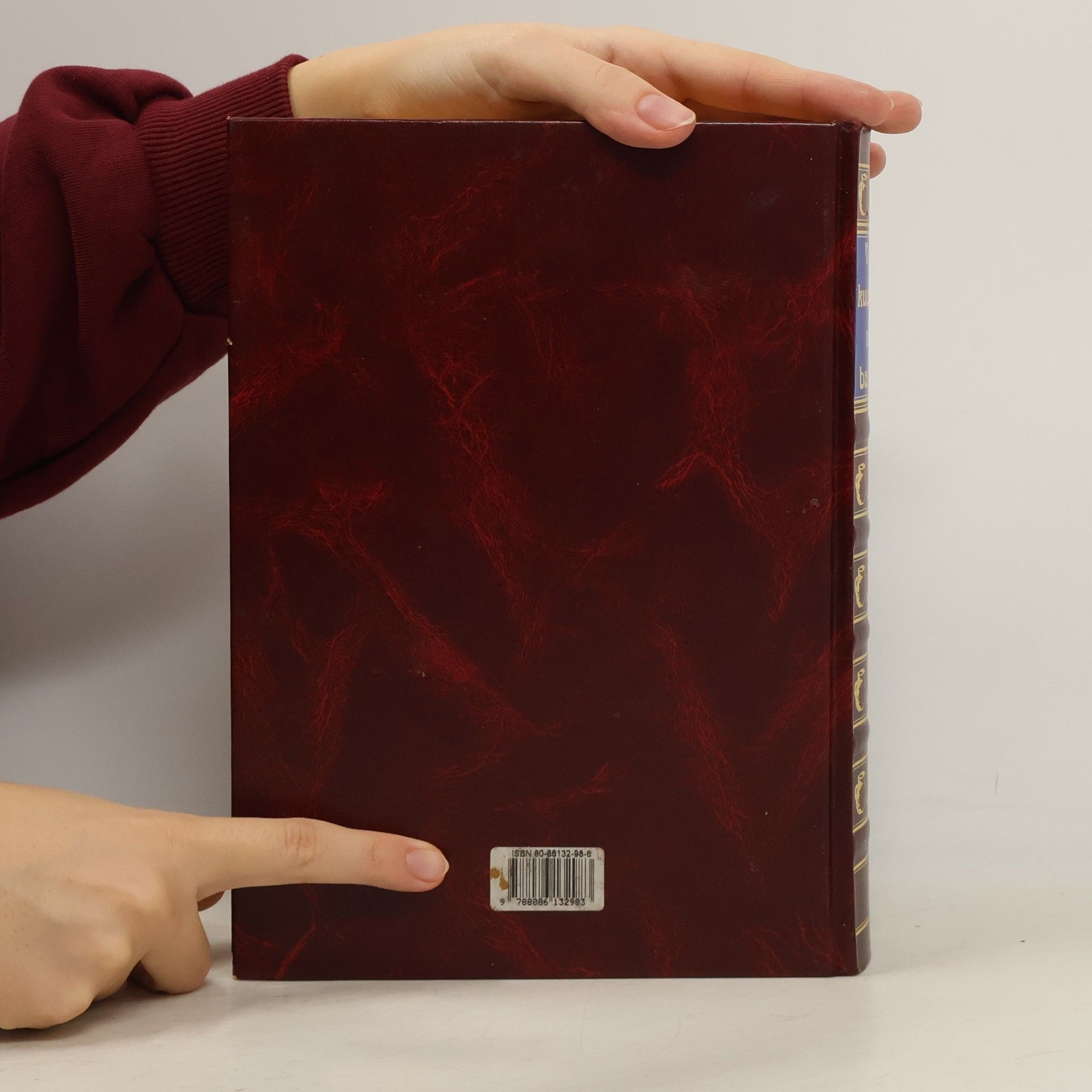 Kolektiv autorů Velká kuchařka naší babičky