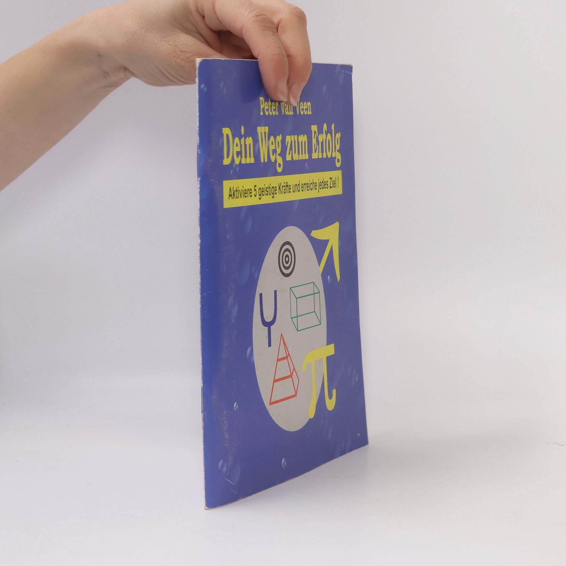 Peter van Veen Dein Weg zum Erfolg