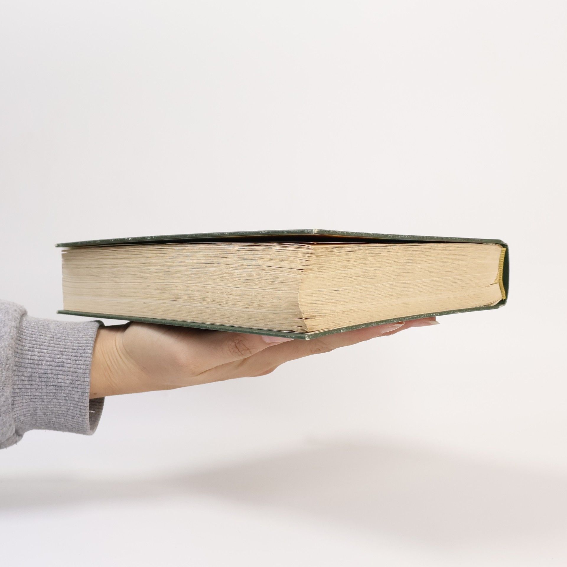 Kolektiv autorů Die Bibel