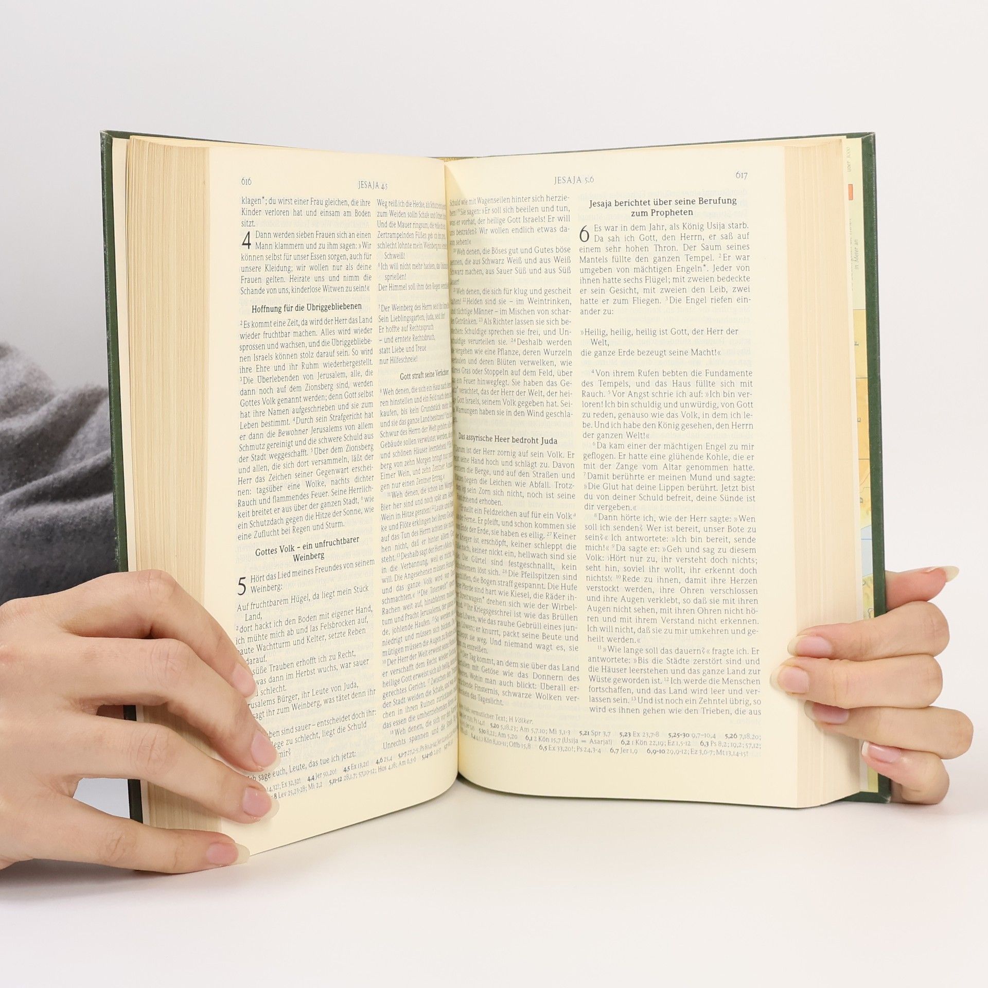 Kolektiv autorů Die Bibel