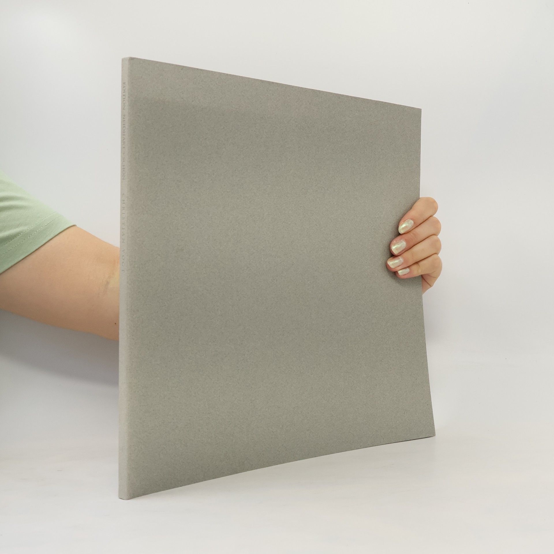 Christian Vogt - Streift Licht Über Den Flügel