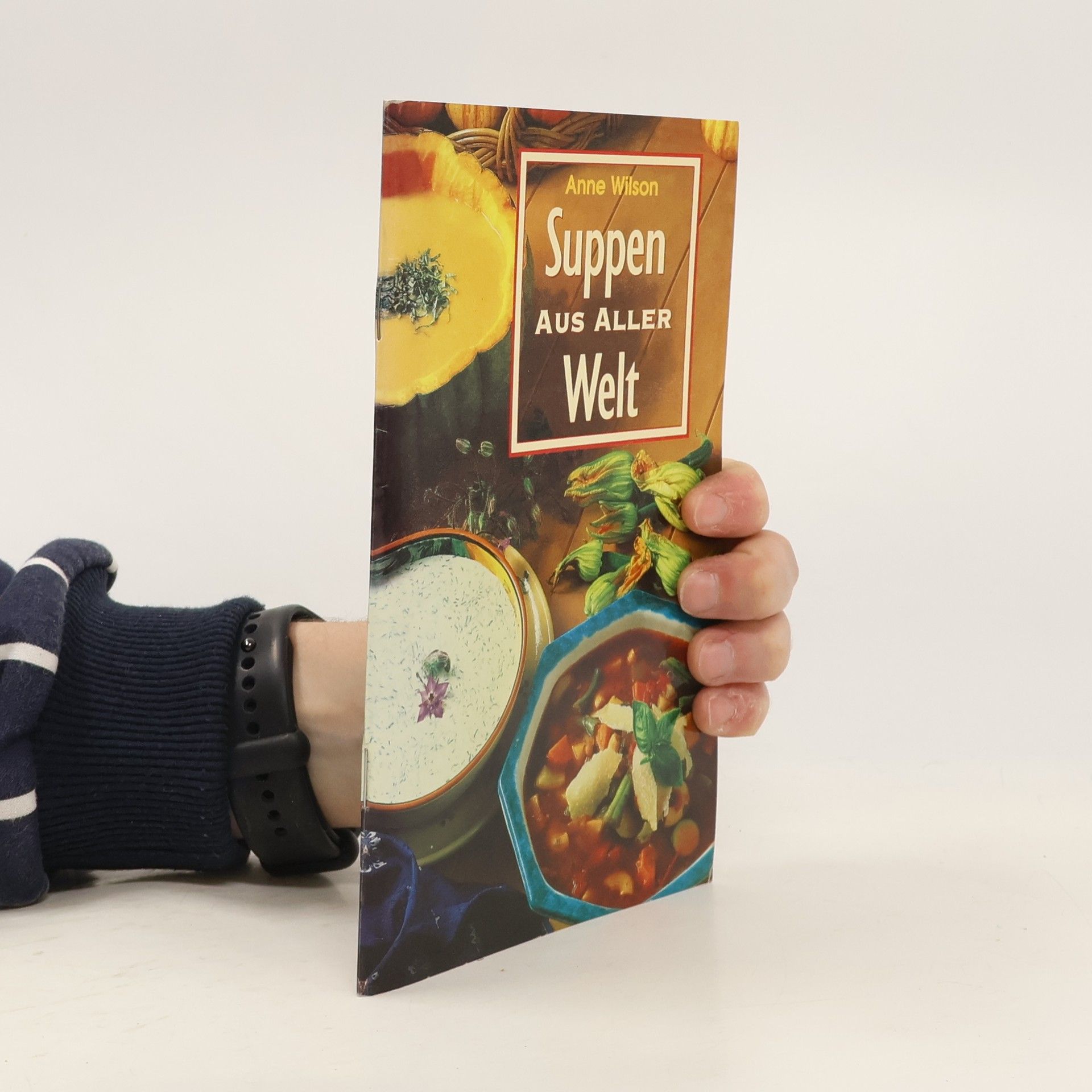 Anne Wilson  Suppen aus aller Welt