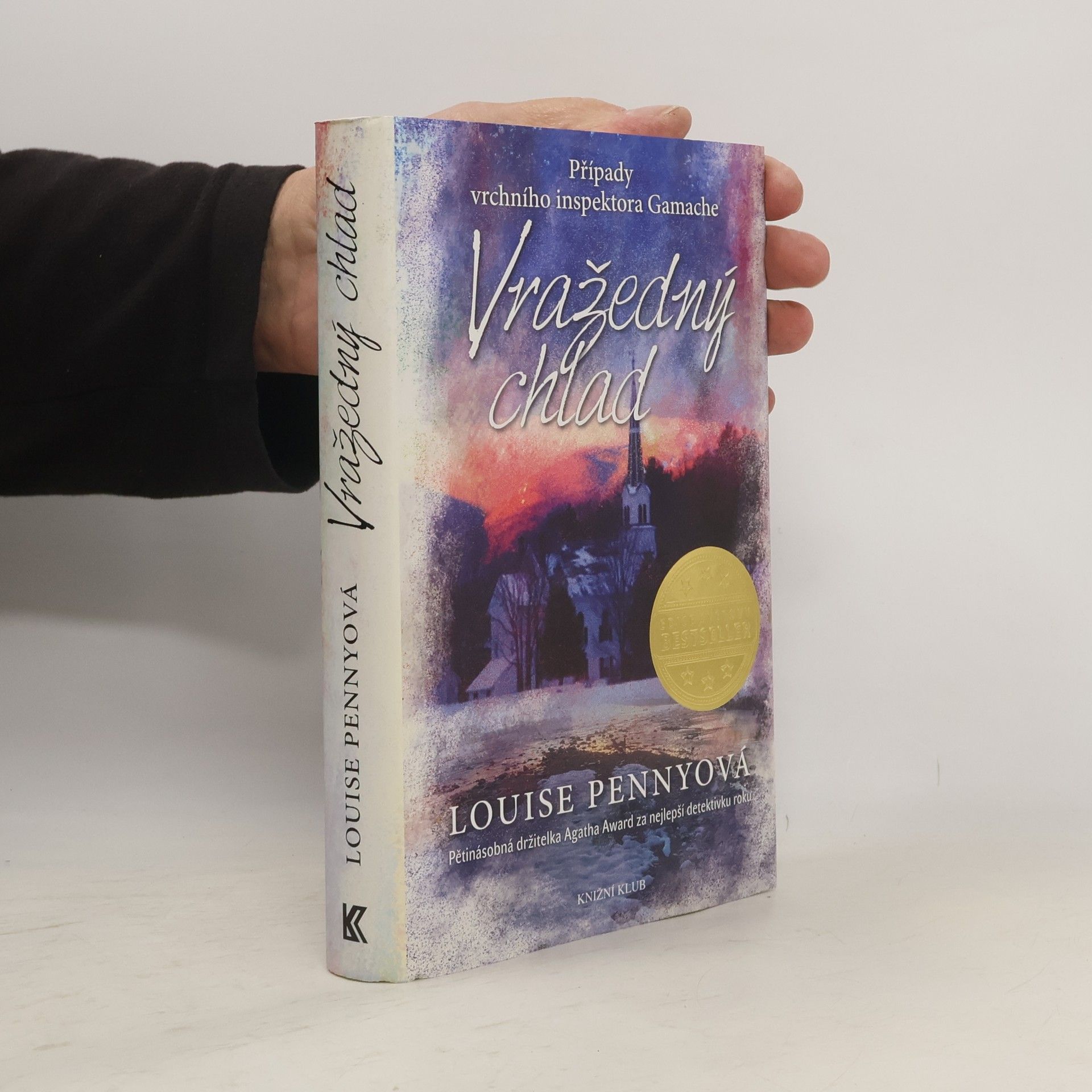 Louise Penny Vražedný chlad