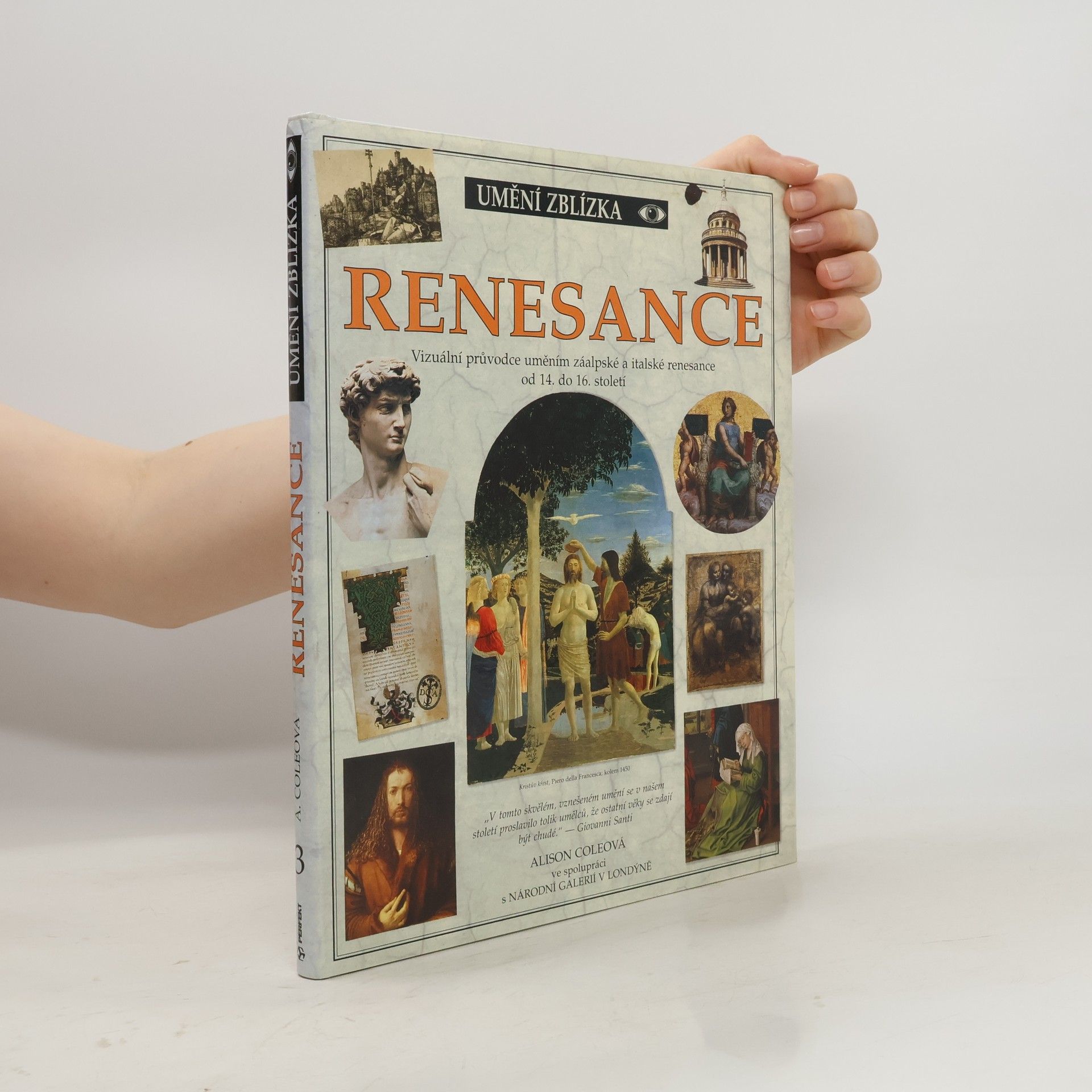 Alison Cole Renesance