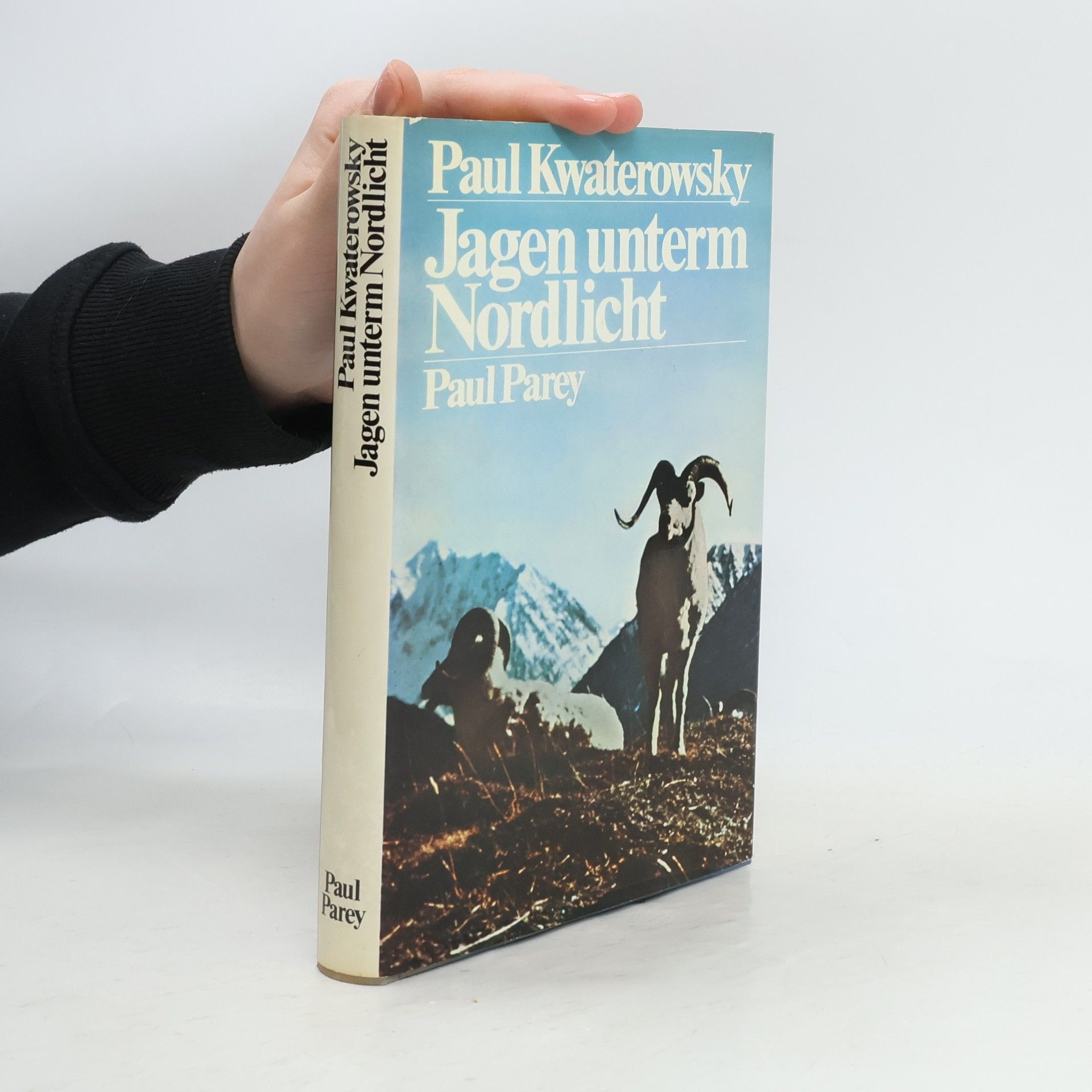 Paul Kwaterowsky Jagen unterm Nordlicht