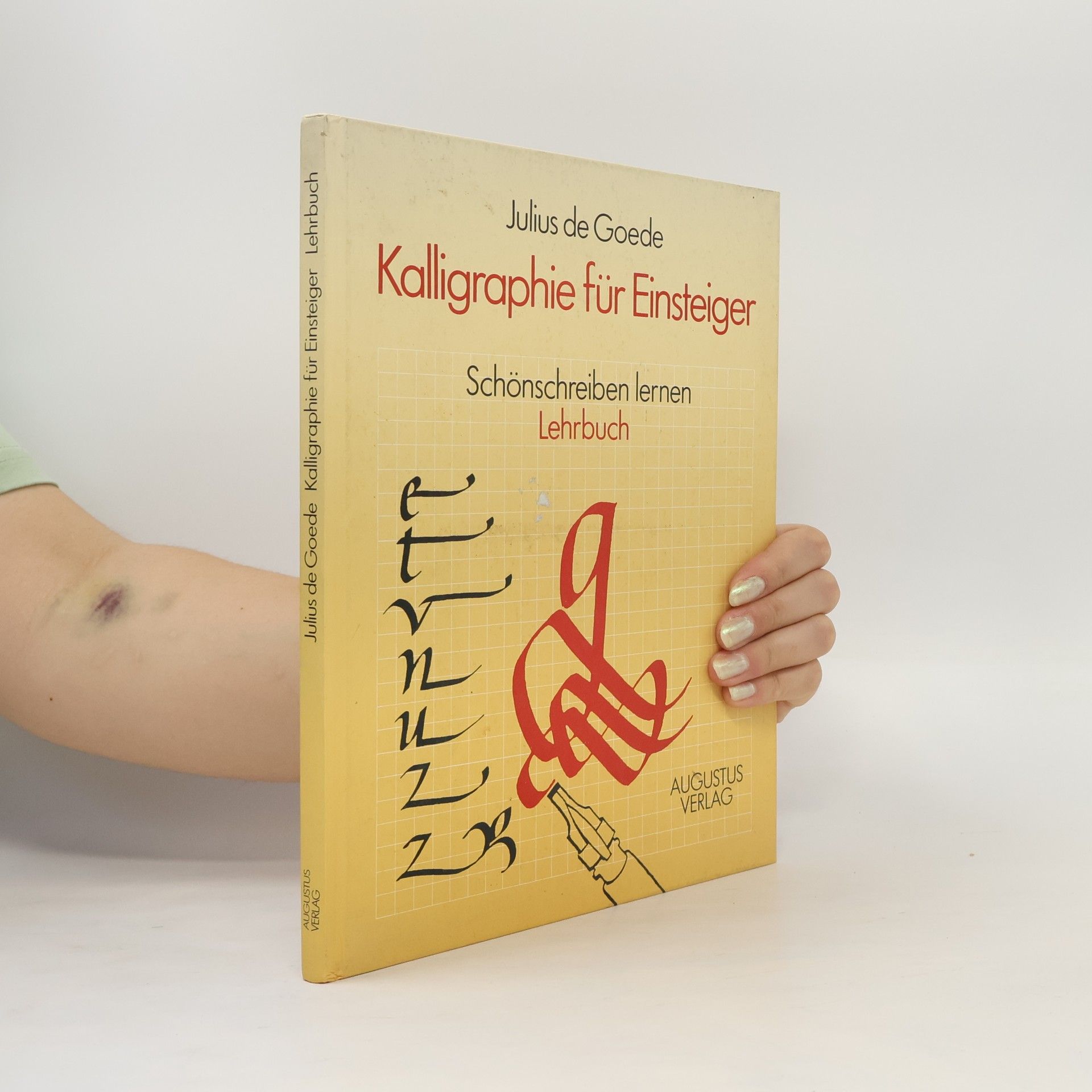 Julius de Goede Kalligraphie für Einsteiger