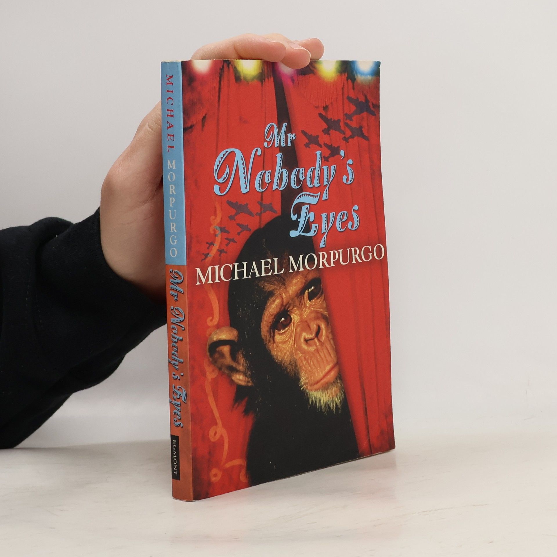 Michael Morpugo Mr Nobody's Eyes