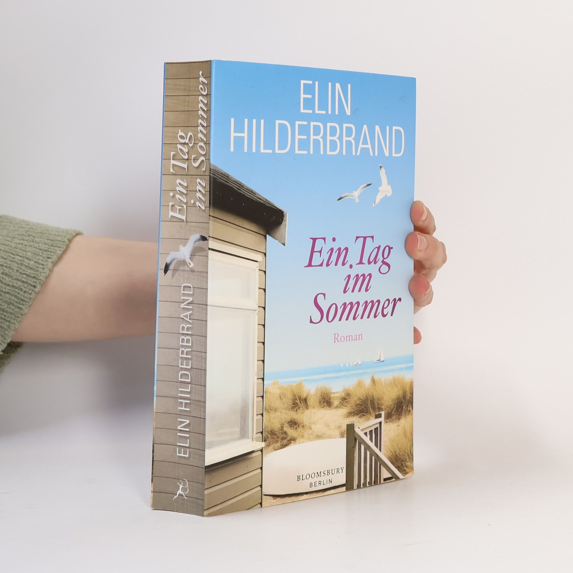 Elin Hilderbrand Ein Tag im Sommer