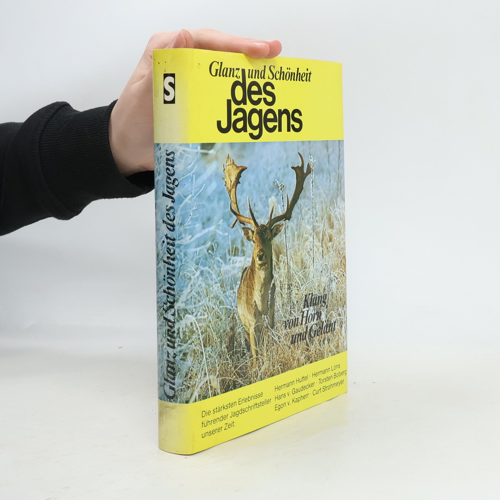 Autorenkollektiv Glanz und Schönheit des Jagens