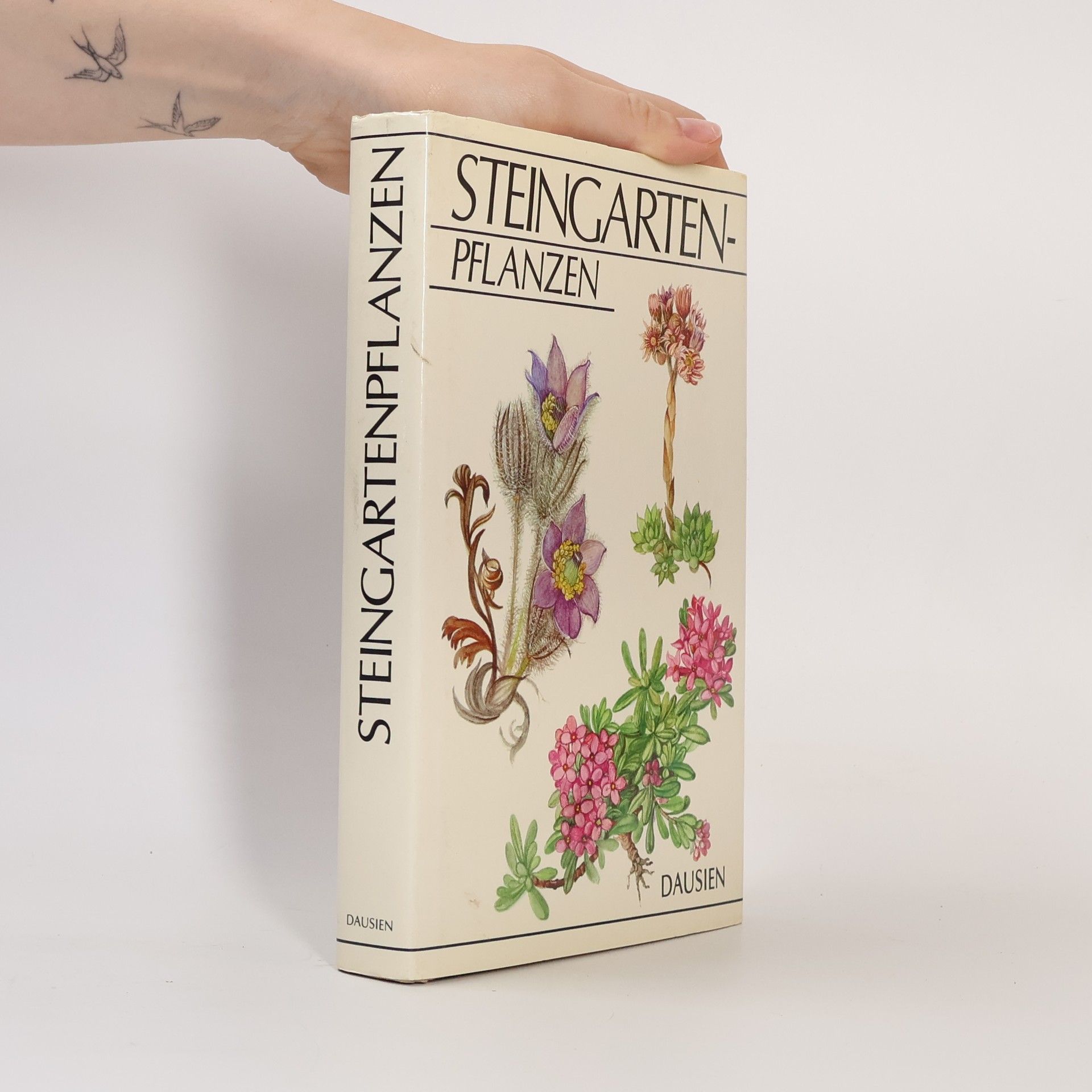 Vlasta Vodičková Steingartenpflanzen