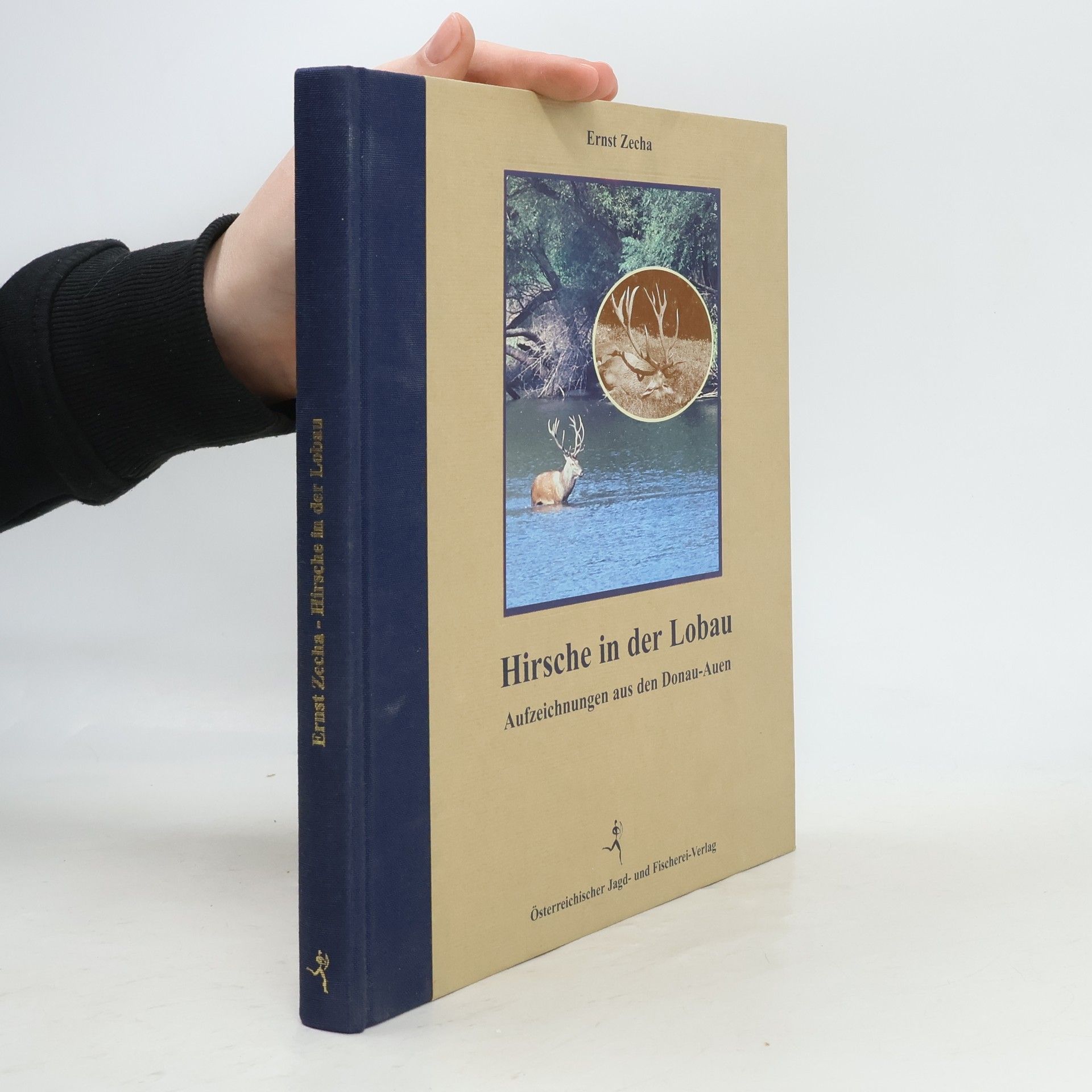 Ernst Zecha Hirsche in der Lobau