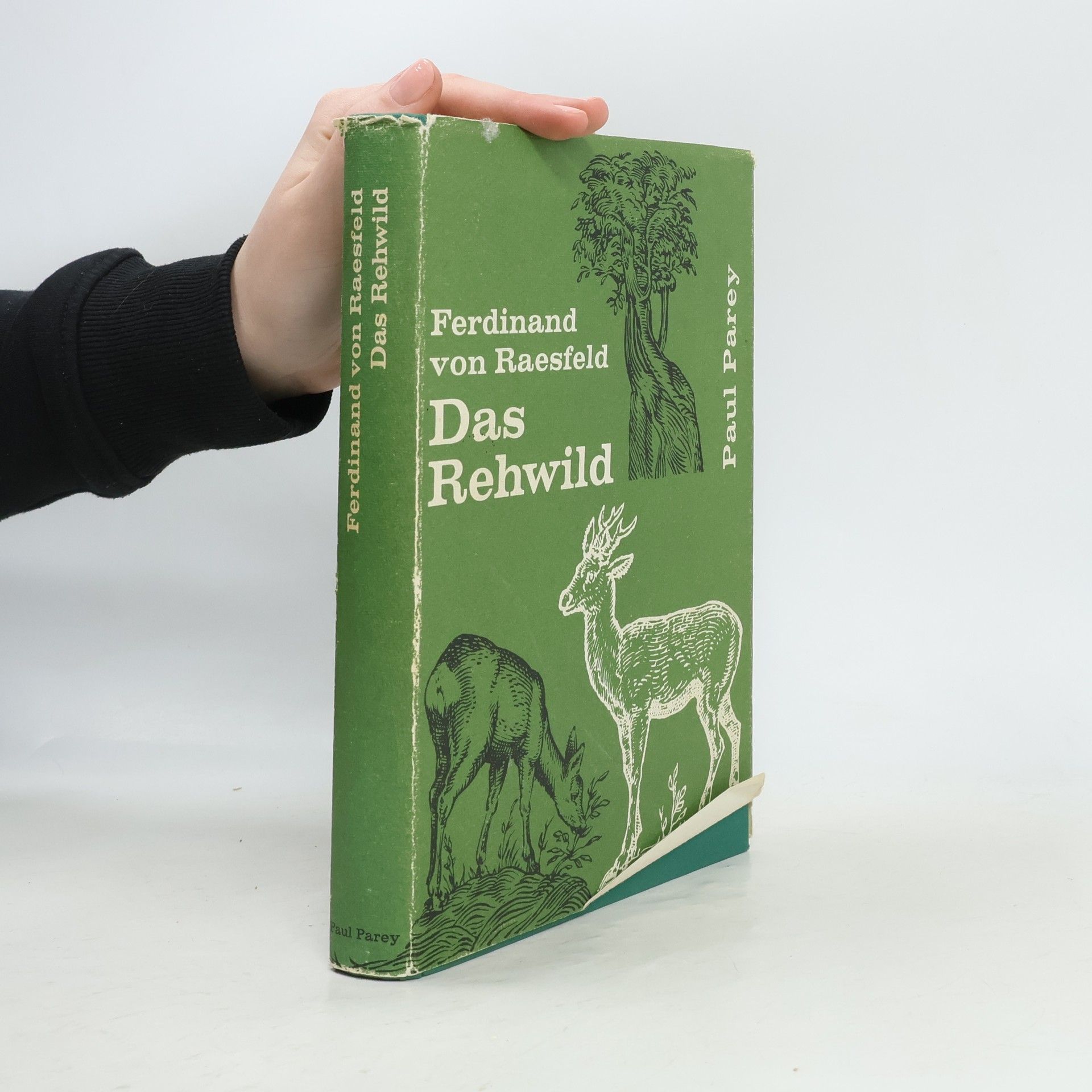 Ferdinand von Raesfeld Das Rehwild