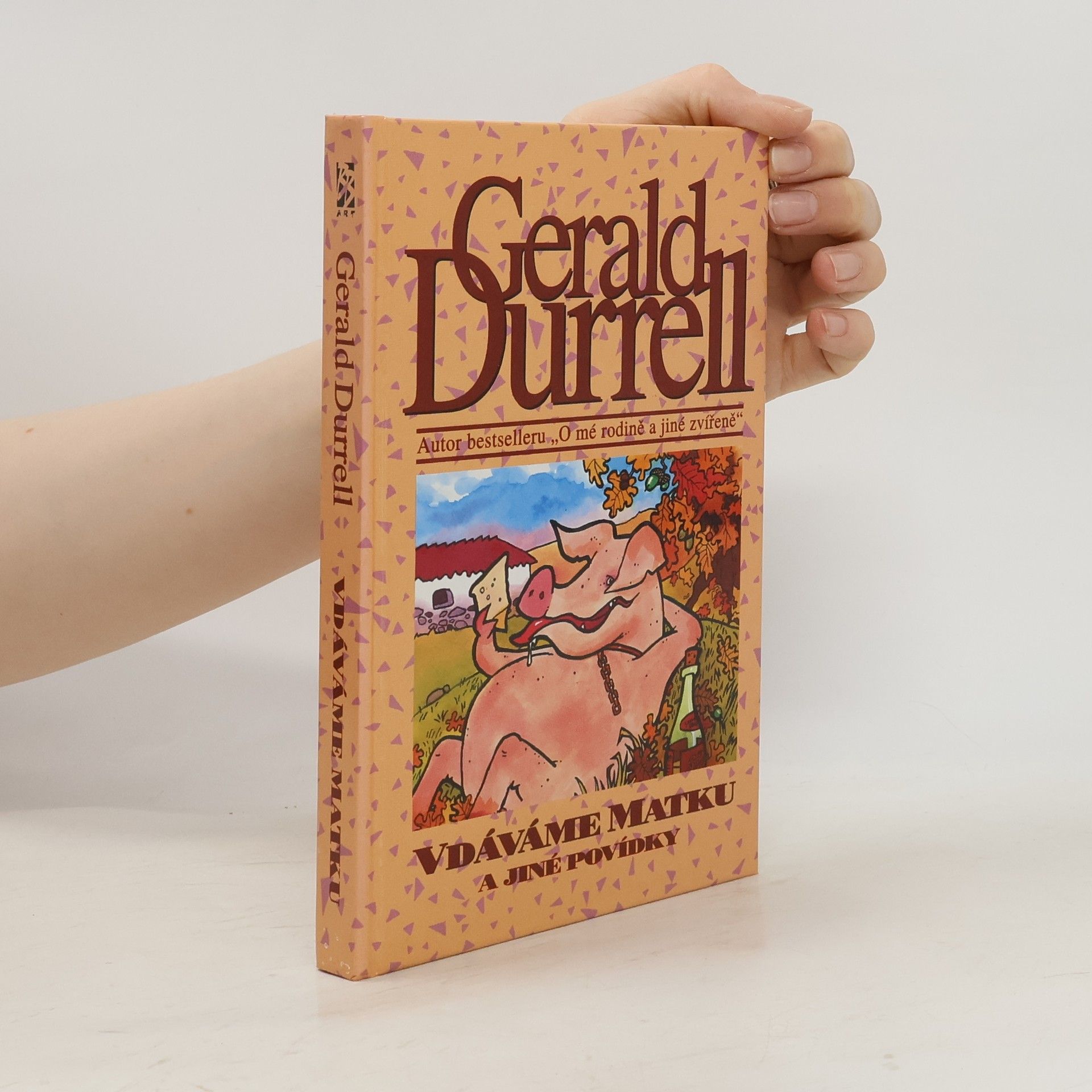 Vdáváme matku a jiné povídky