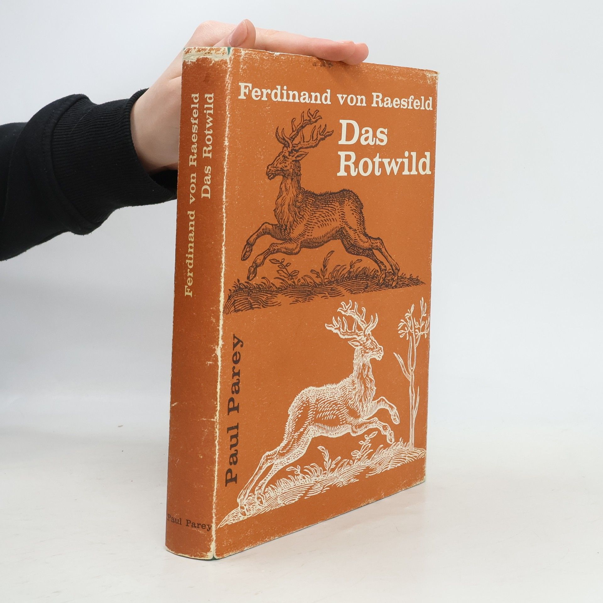 Ferdinand von Raesfeld Das Rotwild