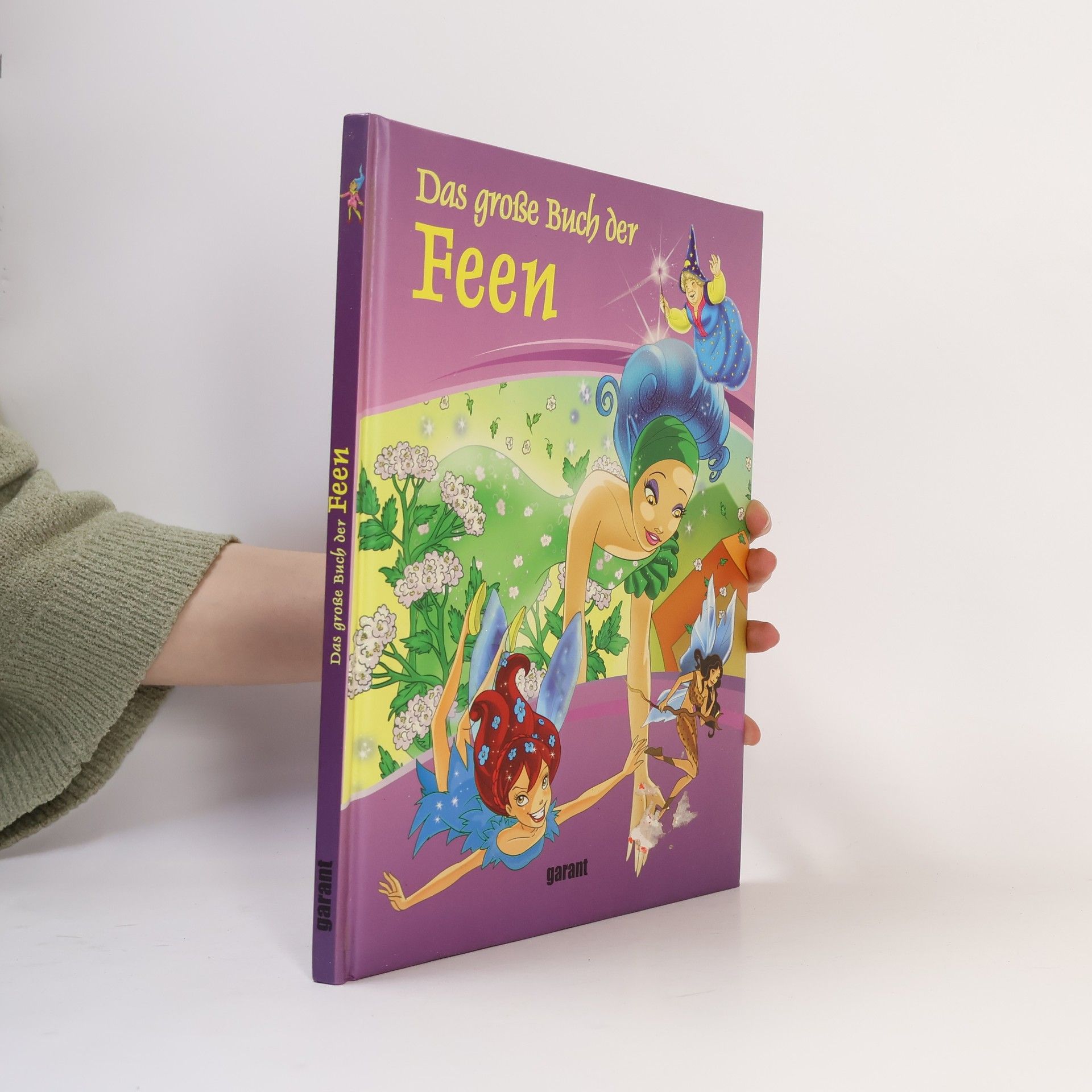 Collectif d'auteurs Das große Buch der Feen