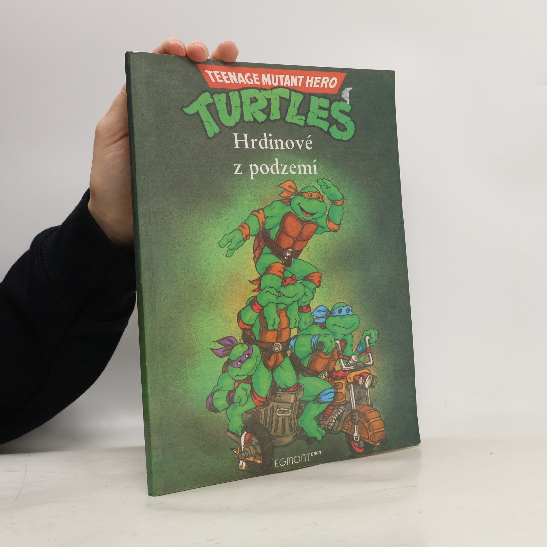 Maureen Spurgeon Teenage Mutant Ninja Turtles. Hrdinové z podzemí