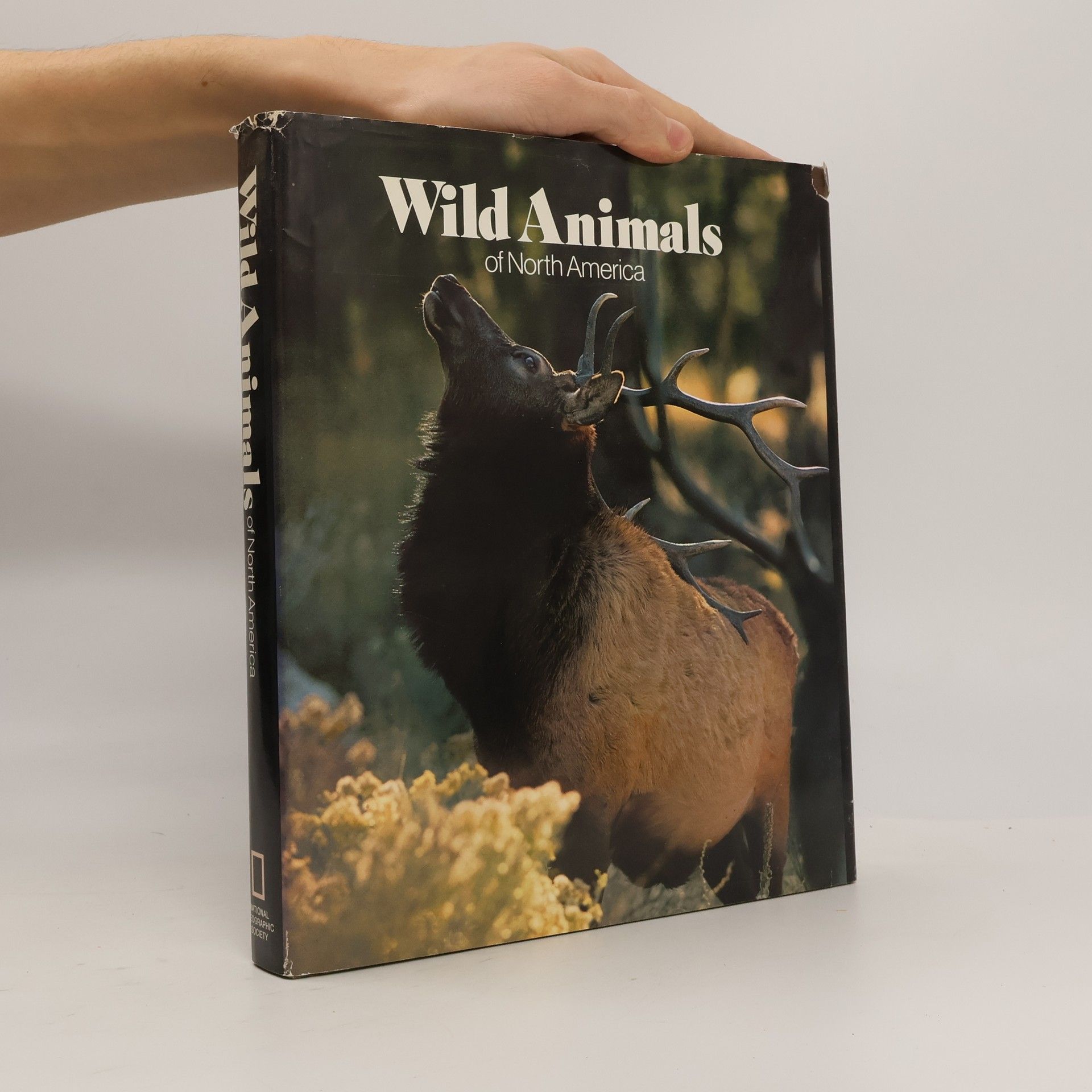 Collectif d'auteurs Wild Animals of the North America