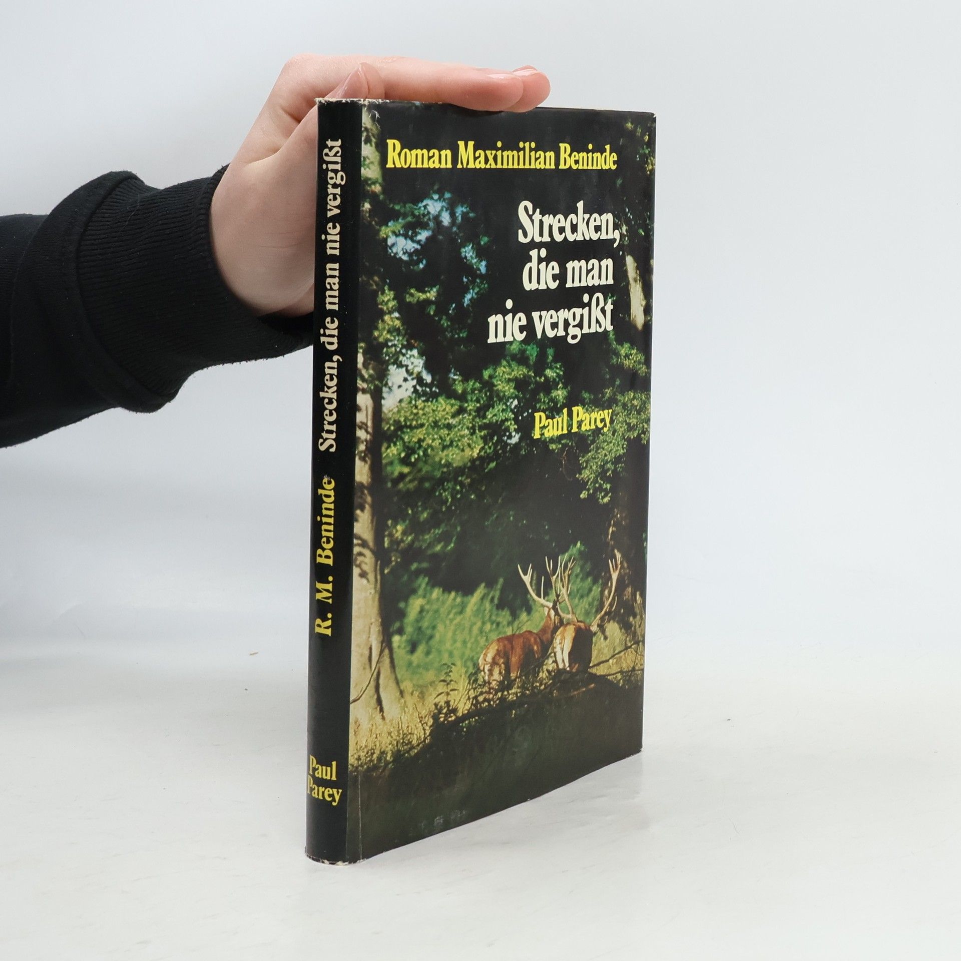 Roman Maximilian Beninde Strecken, die man nie vergisst
