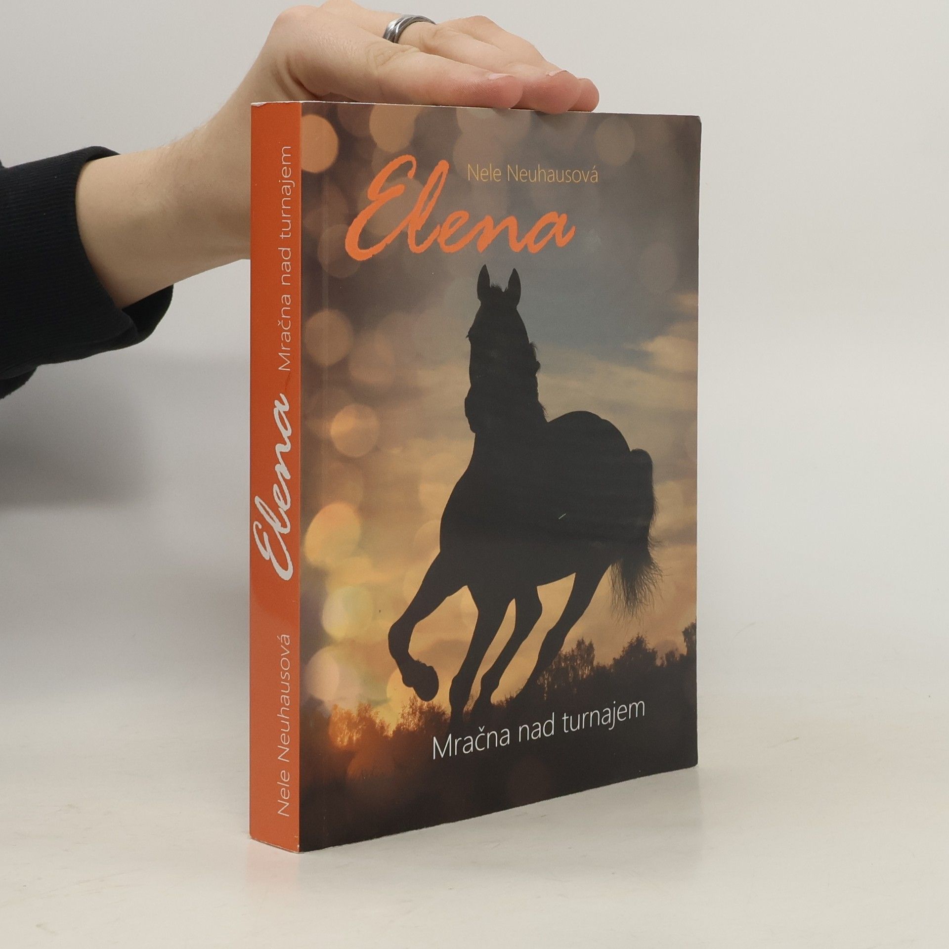 Nele Neuhaus Mračna nad turnajem