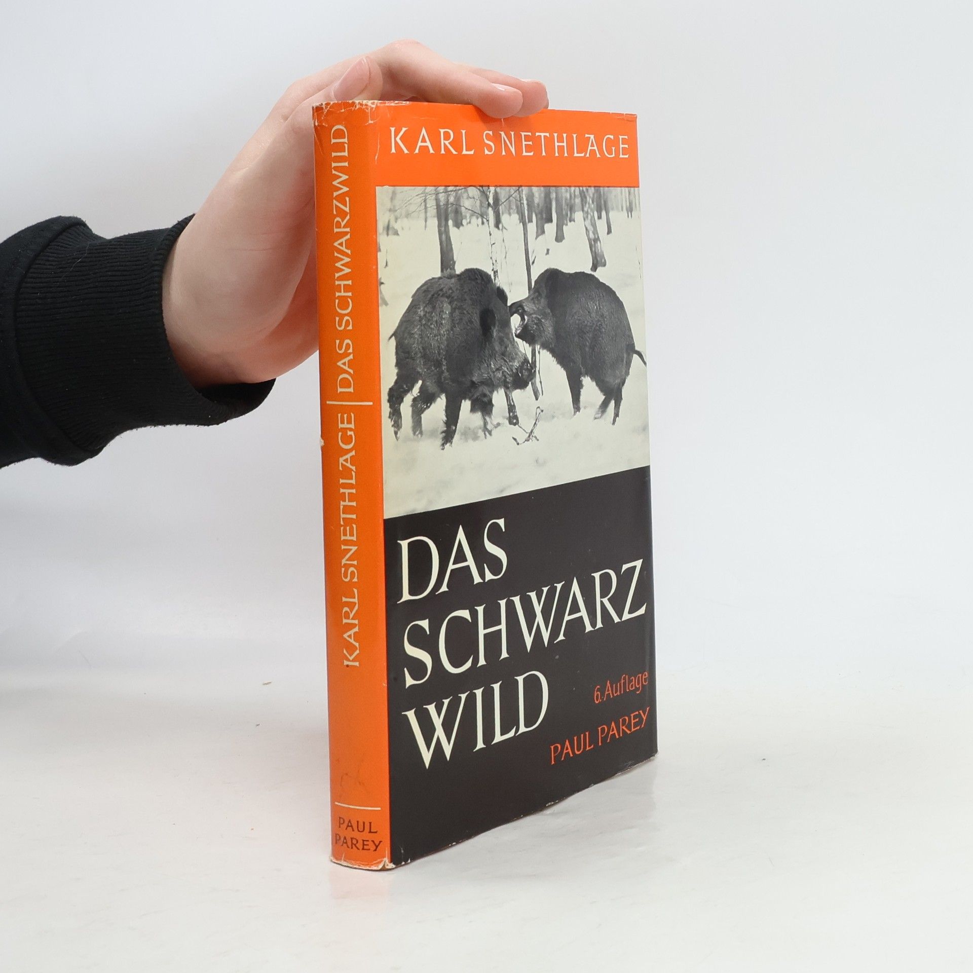 Karl Snethlage Das Schwarzwild