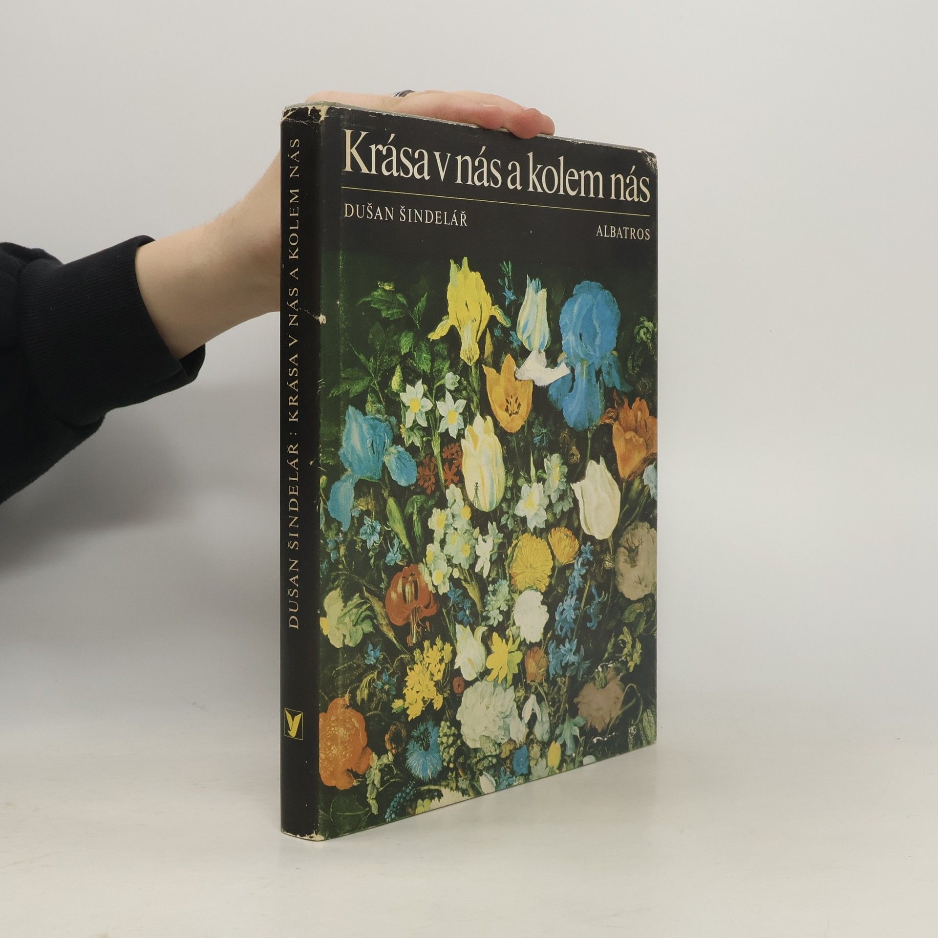 Dušan Šindelář Krása v nás a kolem nás