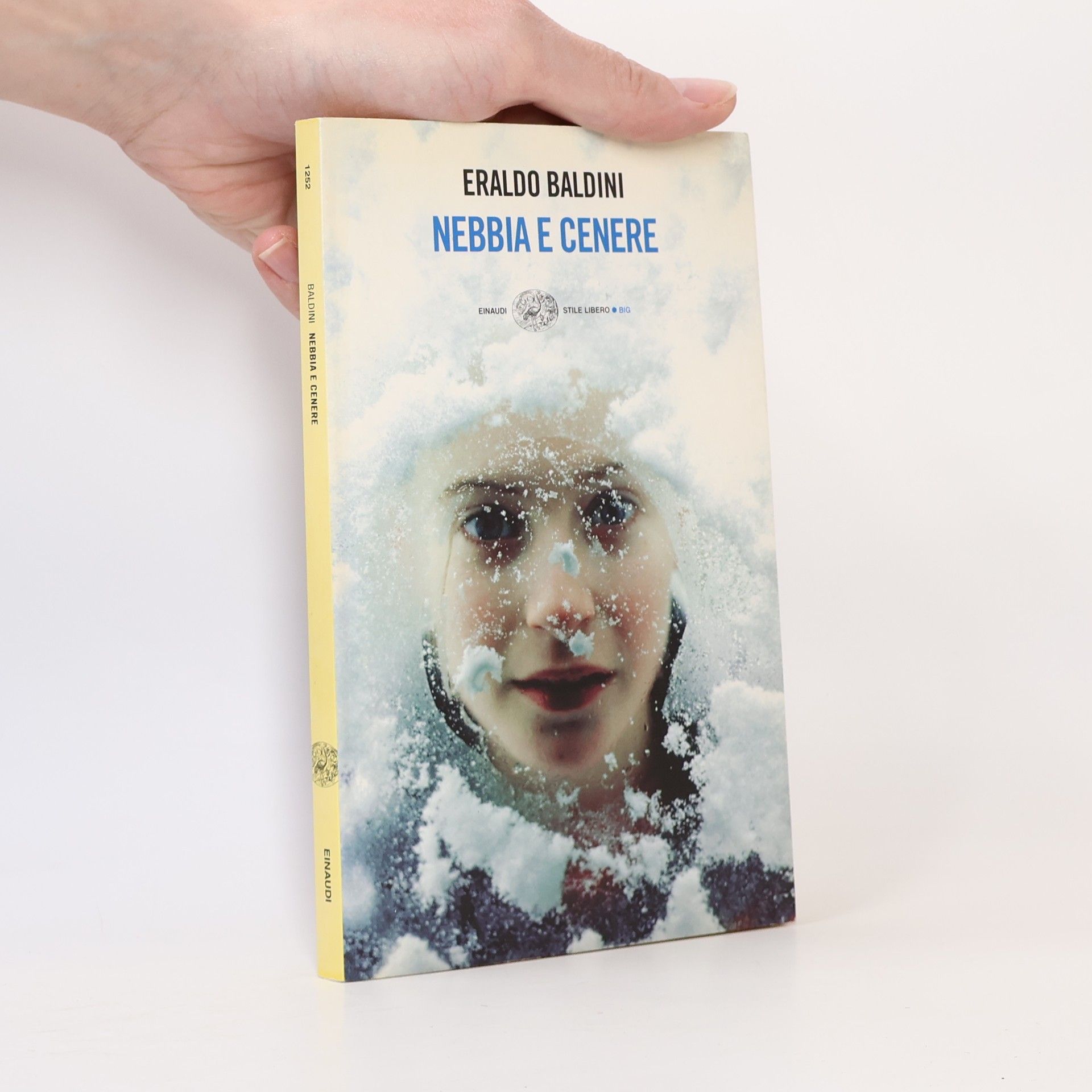 Eraldo Baldini Stile libero big - 1252: Nebbia e cenere