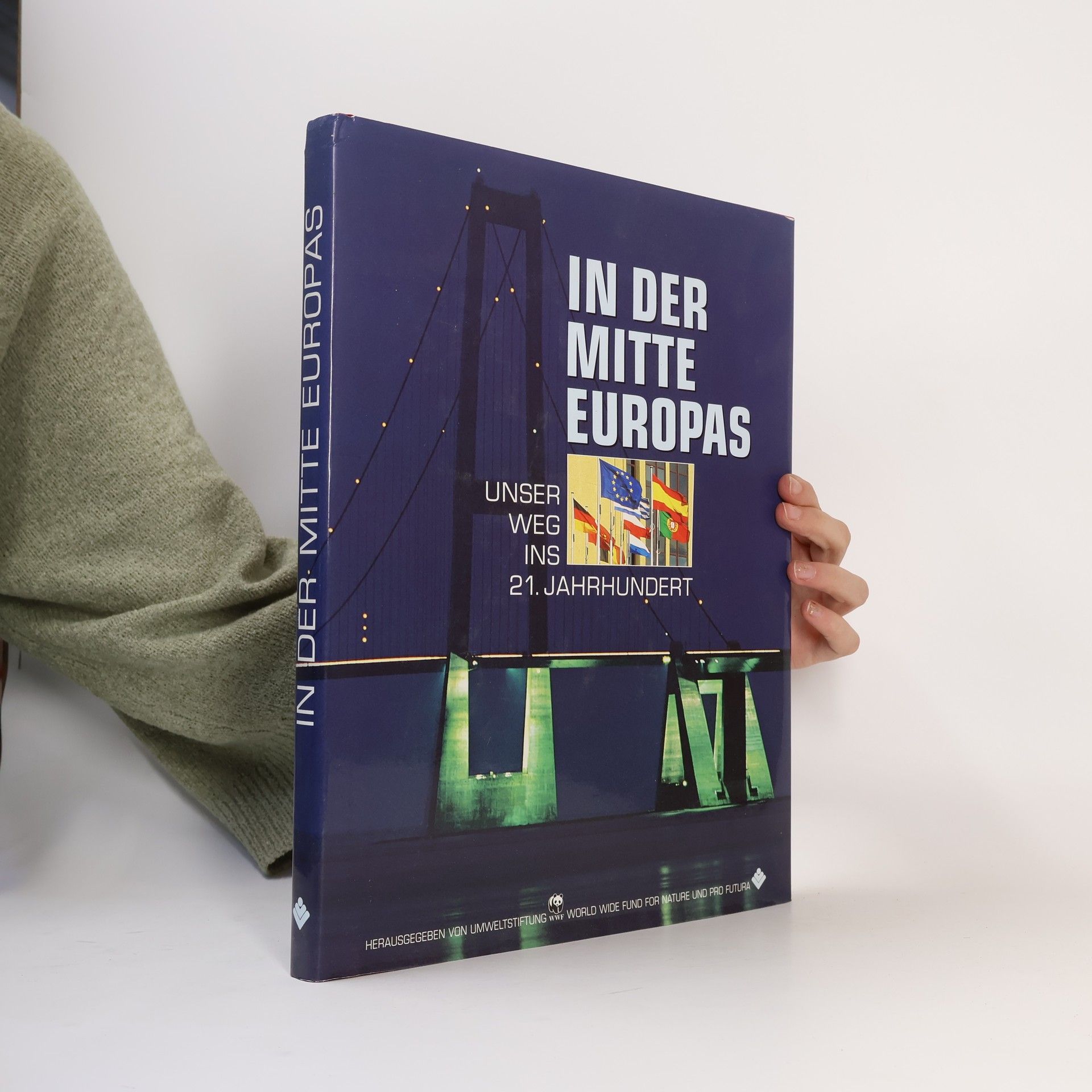 Kolektiv autorů In der Mitte Europas. Unser Weg ins 21. Jahrhundert