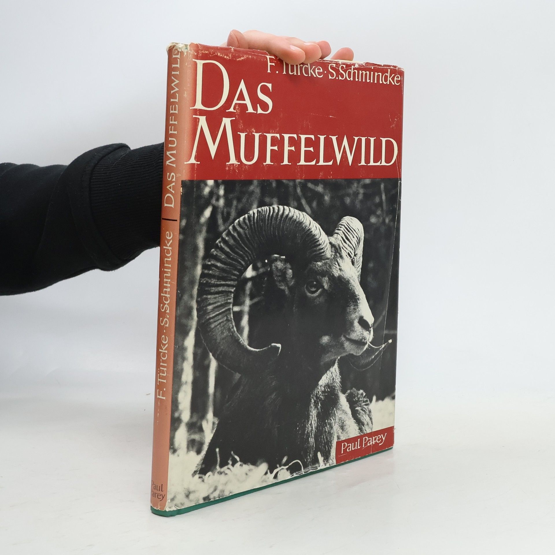 Friedrich Türcke Das Muffelwild