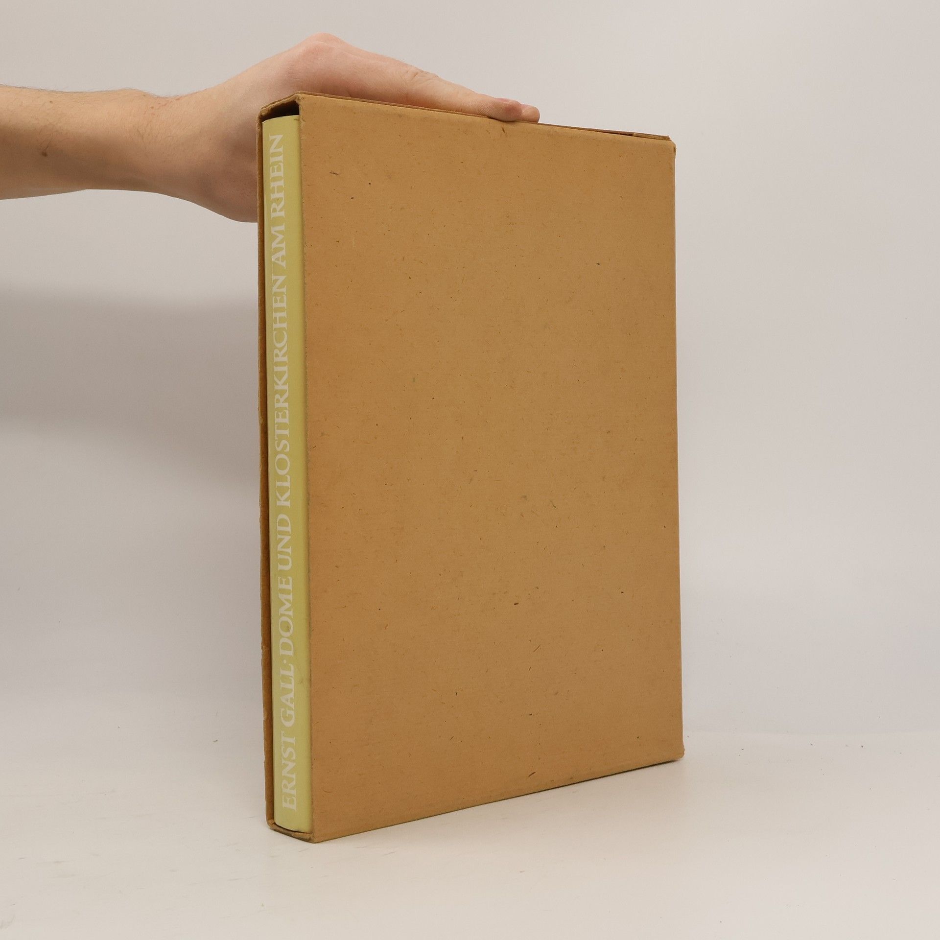 Dome und Klosterkirchen am Rhein