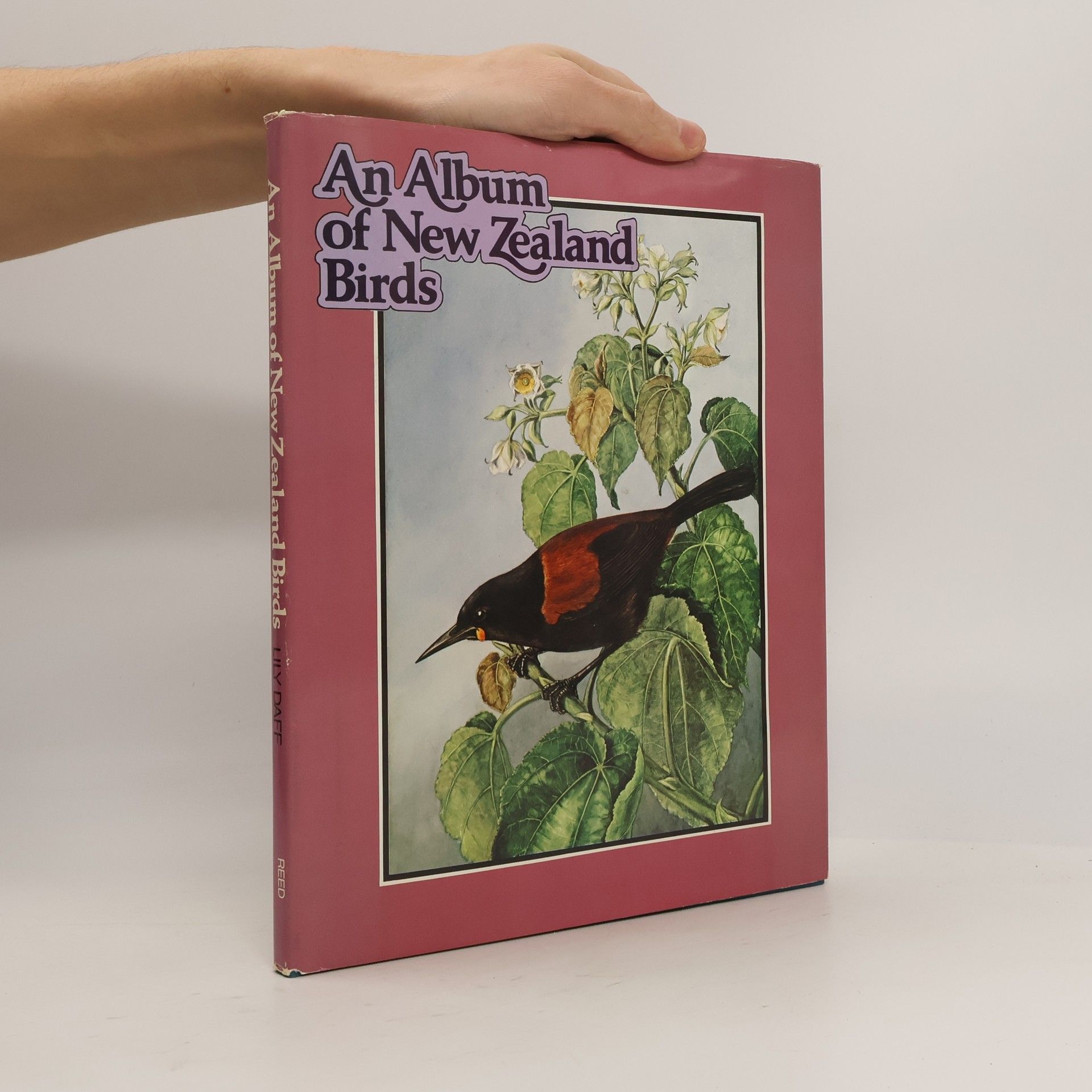 Lily A. Daff An Album of New Zealand Birds