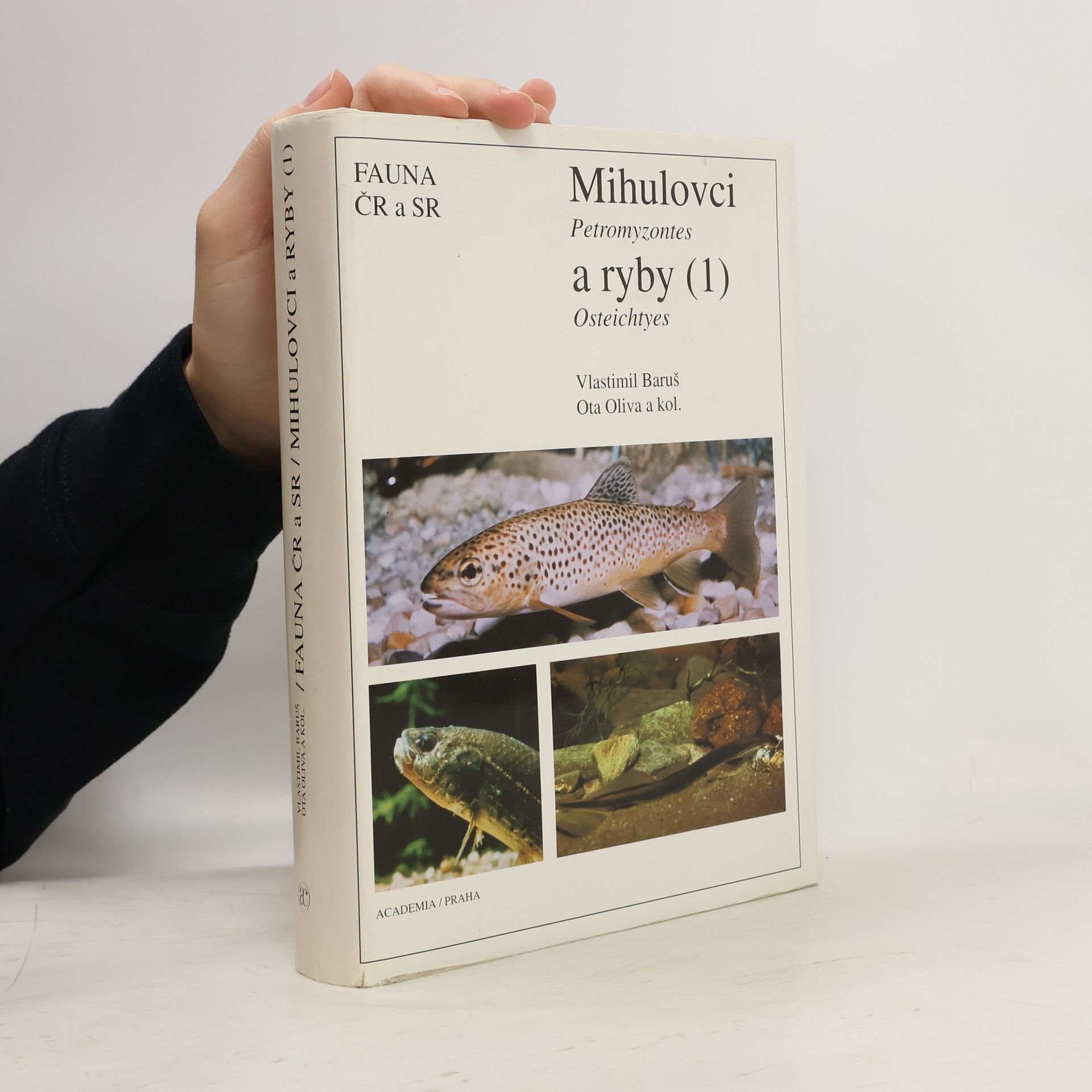 Various authors Mihulovci a ryby. 1. díl