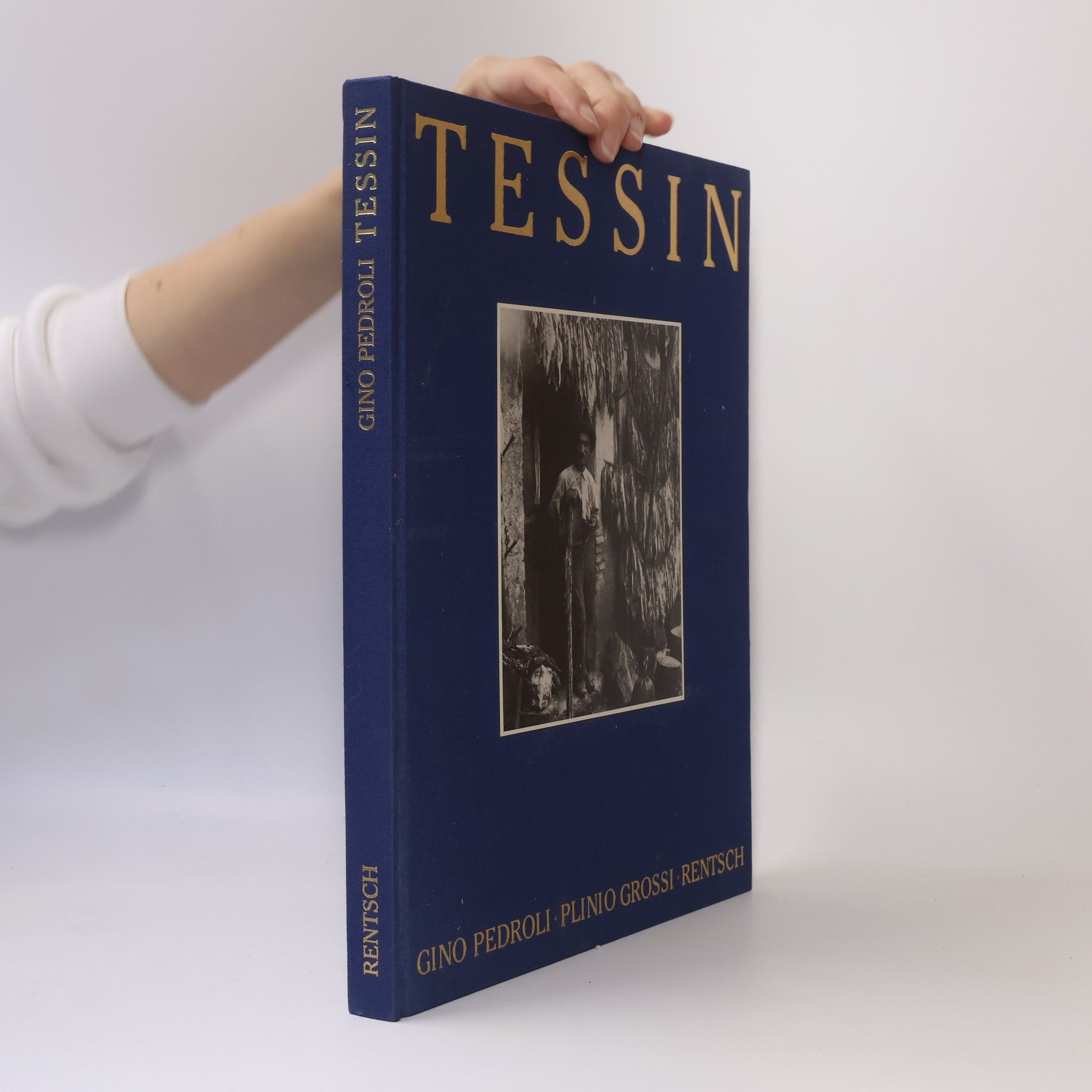 Gino Pedroli Tessin