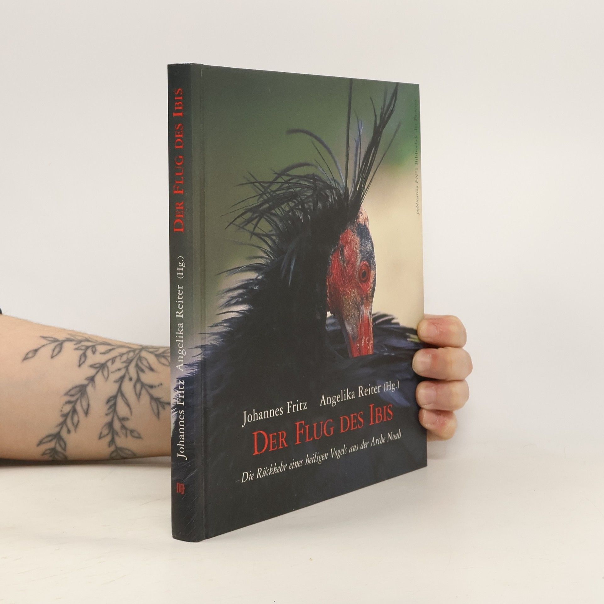 Johannes-Fritz Töllner Der Flug des Ibis